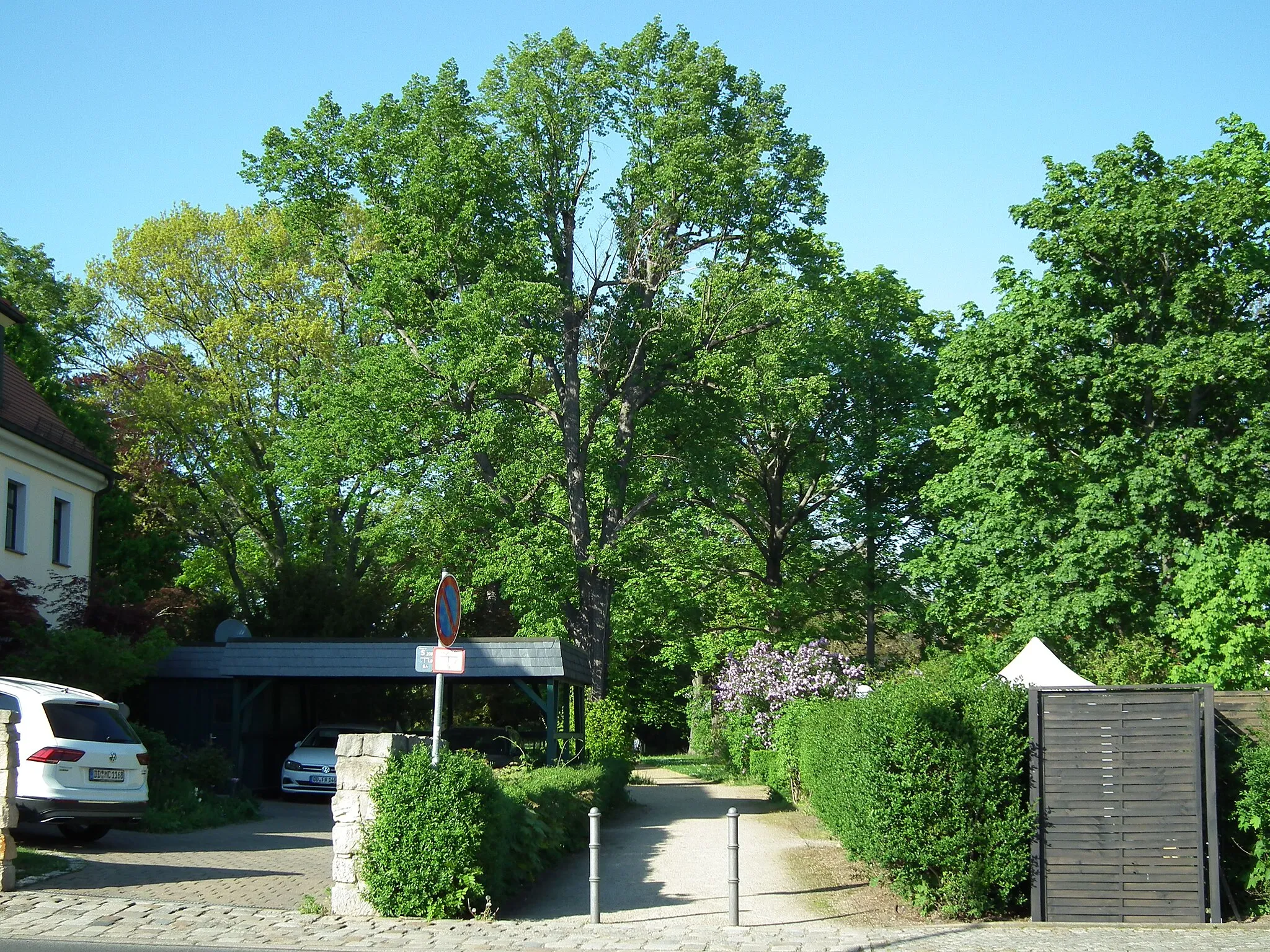 Photo showing: Volkspark Meußlitz