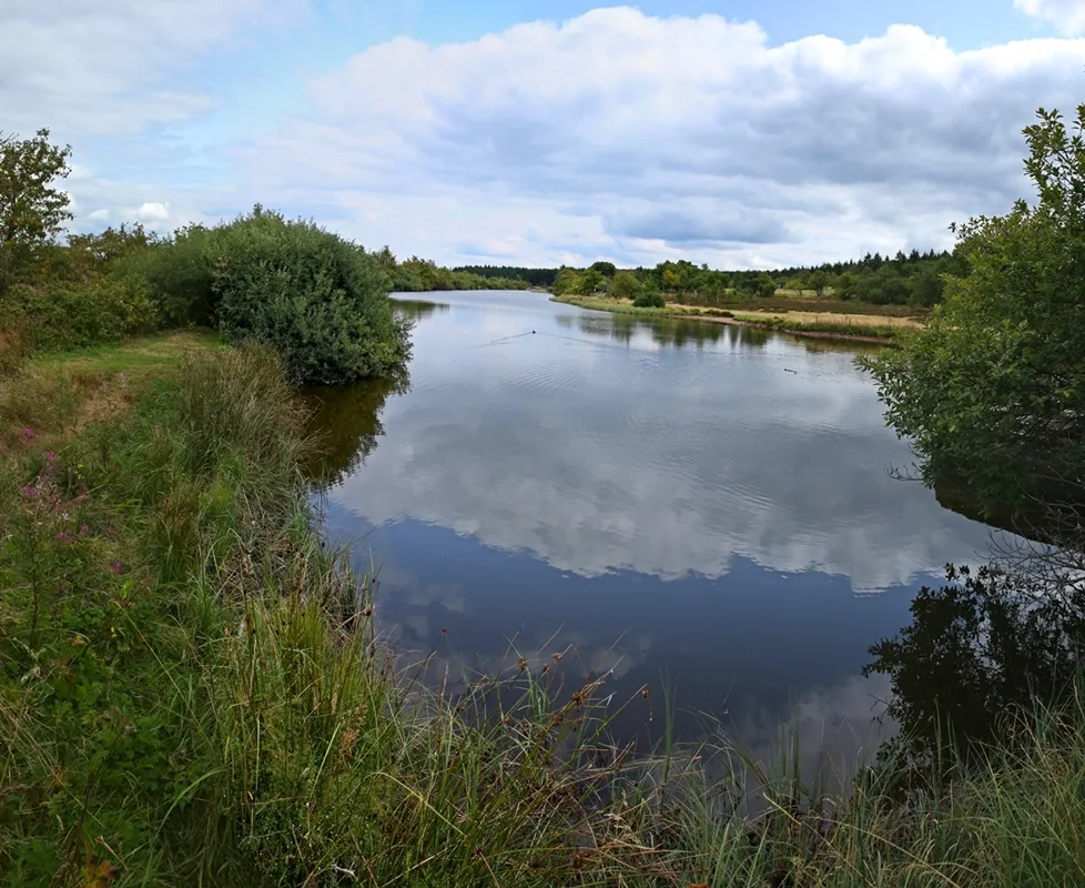 Photo showing: Blick auf den "Langen Teich" (Dlouhý rybník) in Böhmisch Zinnwald (Cínovec) im Osterzgebirge. Der Teich wurde 1787 als Wasserspeicher für die Zinnerzaufbereitung angelegt.