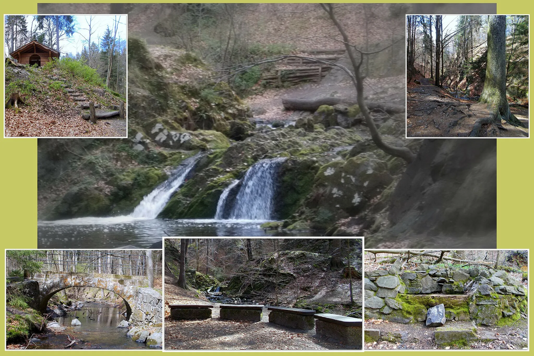 Photo showing: Collage of pictures taken in Dresdner Heide, along the Prießnitz stream.