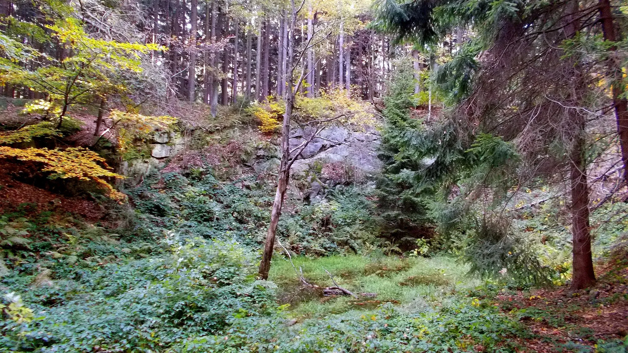 Photo showing: Alter Steinbruch am Kesselberg bei Rammenau