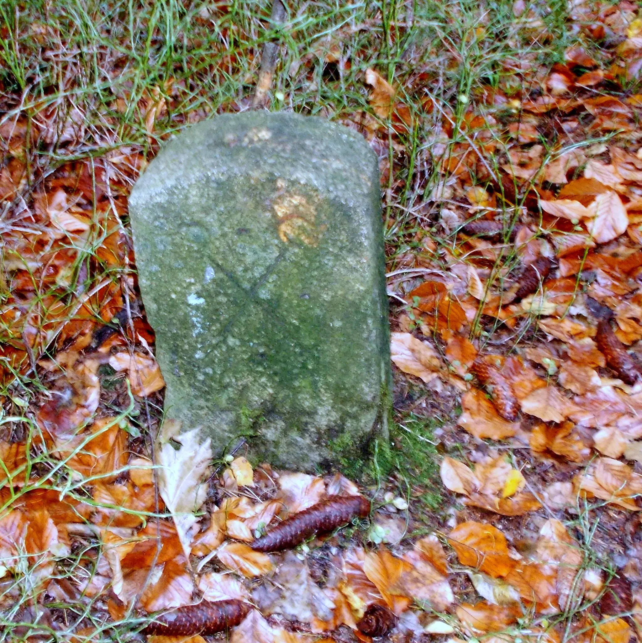 Photo showing: Grenzstein am Butterberg