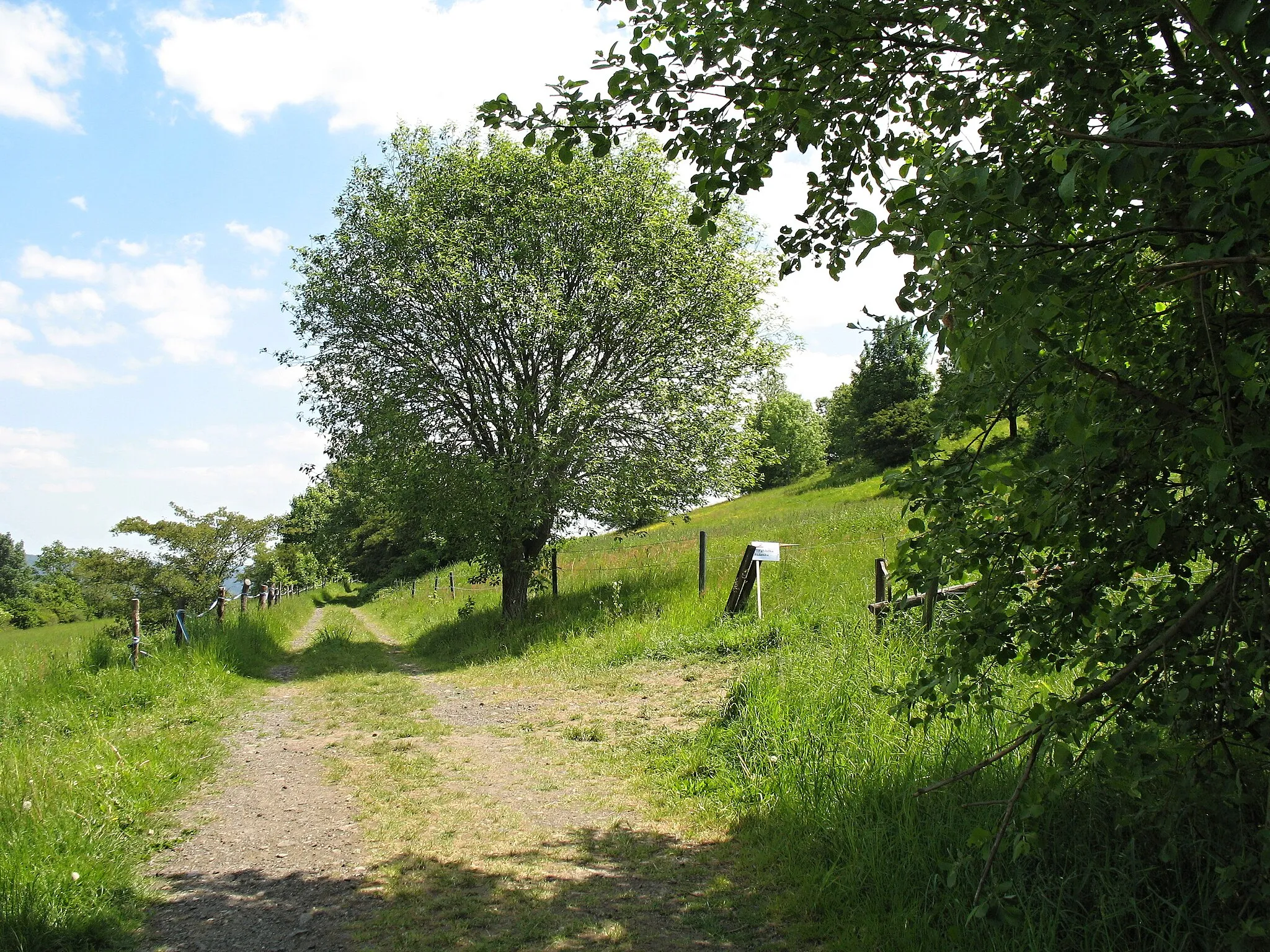 Photo showing: Pastevní vrch u Růžové v okrese Děčín