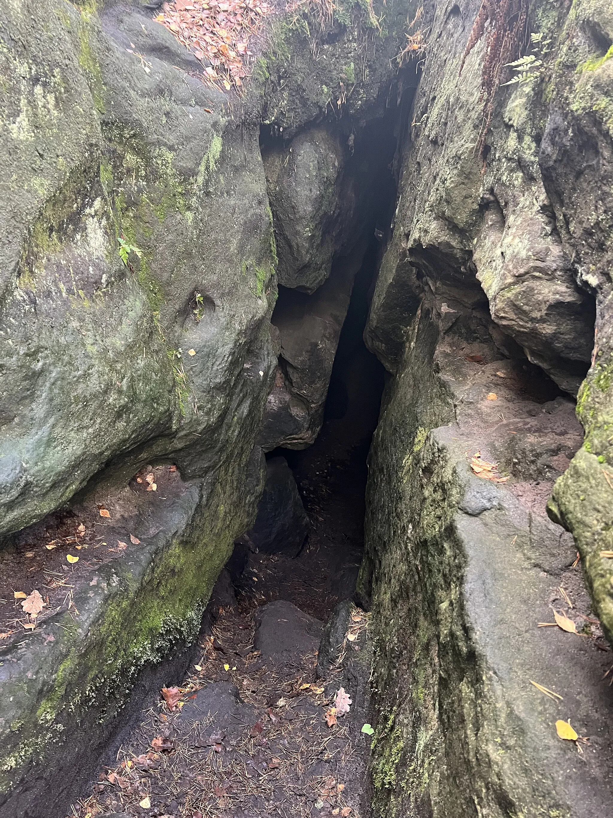 Photo showing: Eingang der Eishöhle auf dem Kleinhennersdorfer Stein in Gohrisch, Landkreis Sächsische Schweiz-Osterzgebirge, Sachsen, Deutschland