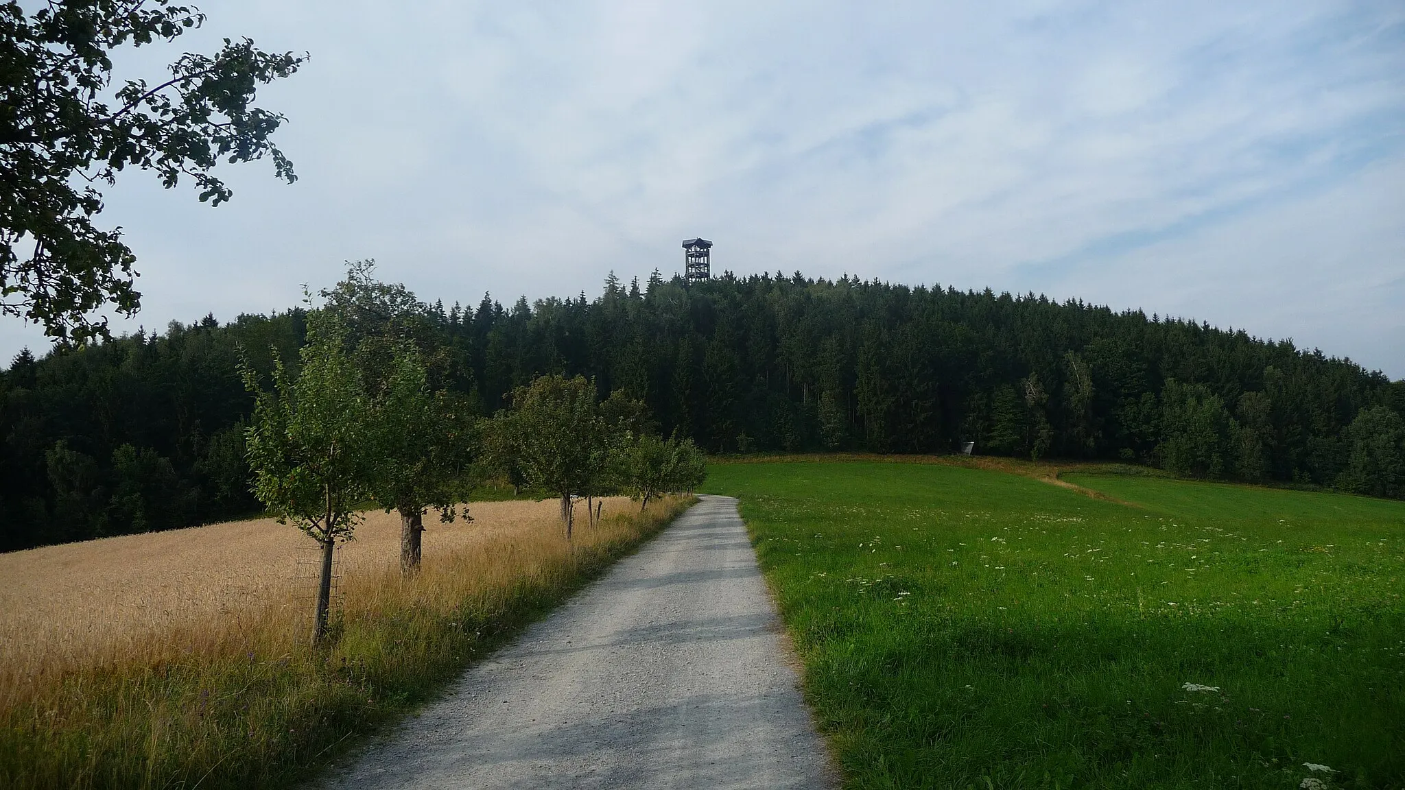 Photo showing: Die Nixdorfer Straße in der Sächsischen Schweiz in Hinterhermsdorf führt von der genannten Ortschaft zur tschechischen Grenze und weiter zur Kleinstadt Mikulášovice in der Region Ústecký kraj. Dabei verläuft der Weg auch über den Weifberg, welcher hier mitsamt dem Weifbergturm zu sehen ist. Der Blick richtet sich nach Norden.