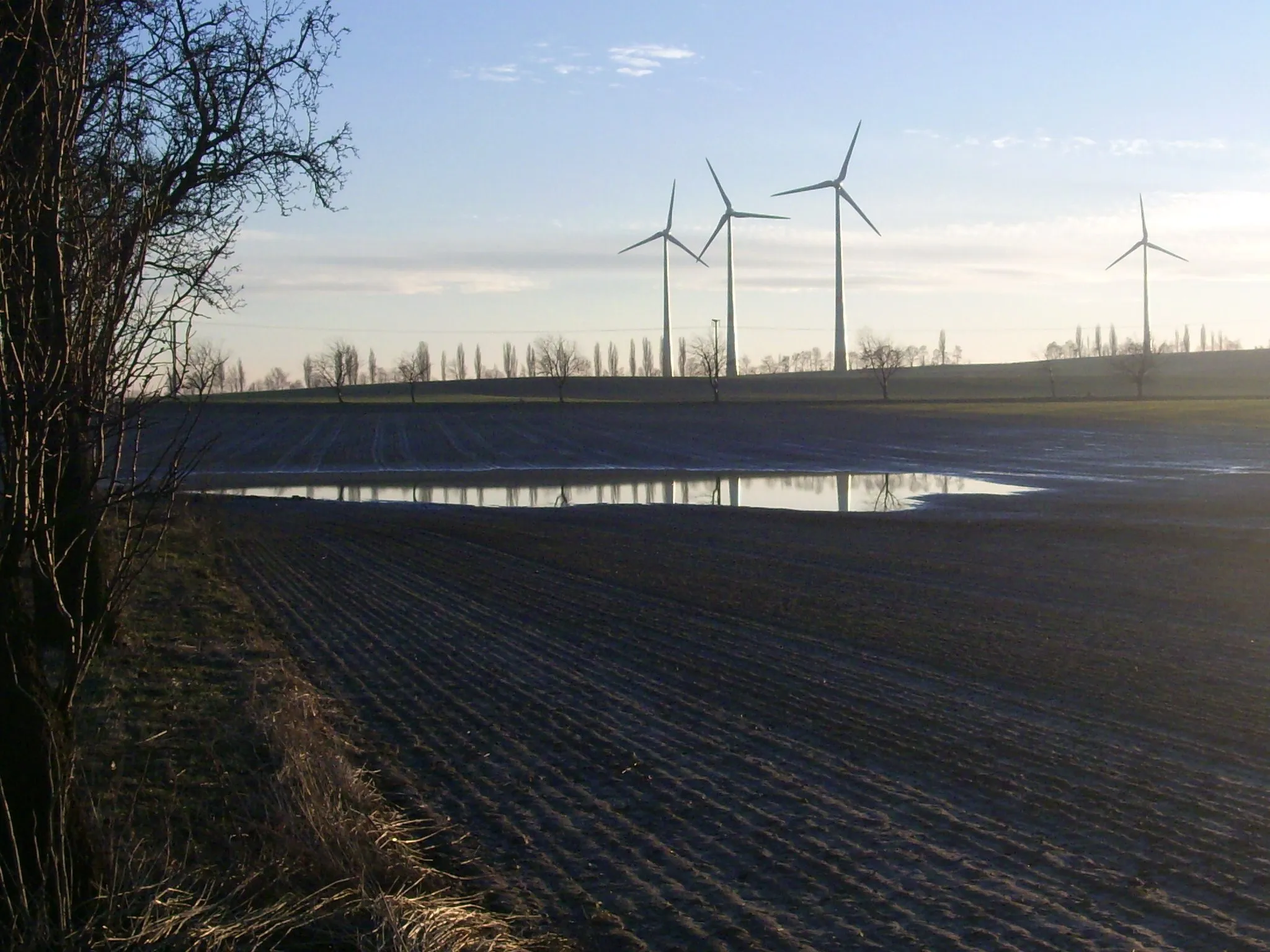 Photo showing: Wasseransammlung unmittelbar gegenüber der früheren Lage des Paltzschener Sees