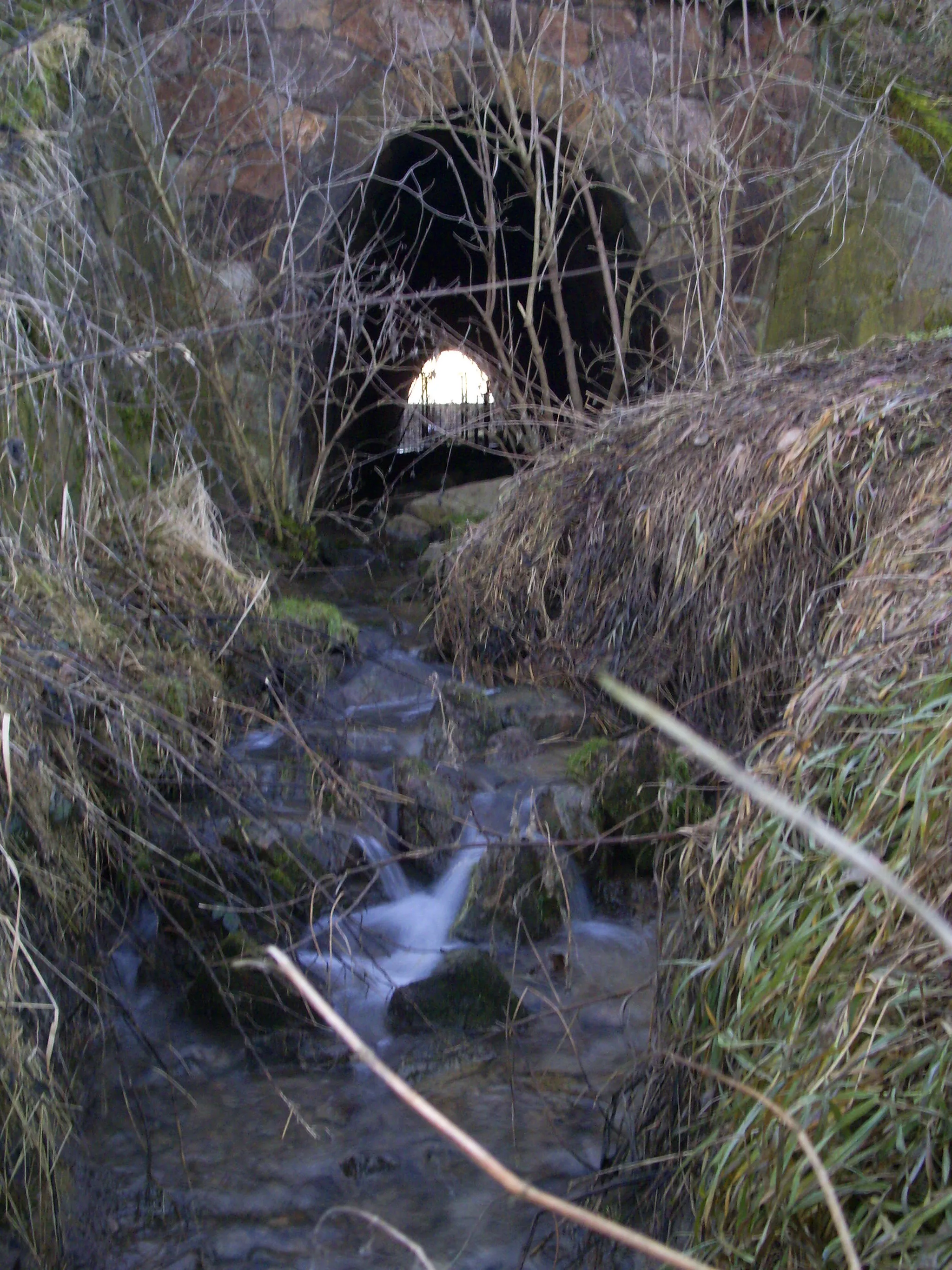 Photo showing: Der Seegraben mit dem Wasser der früher heiligen Quelle Glomac unter dem Bahndamm bei Paltzschen