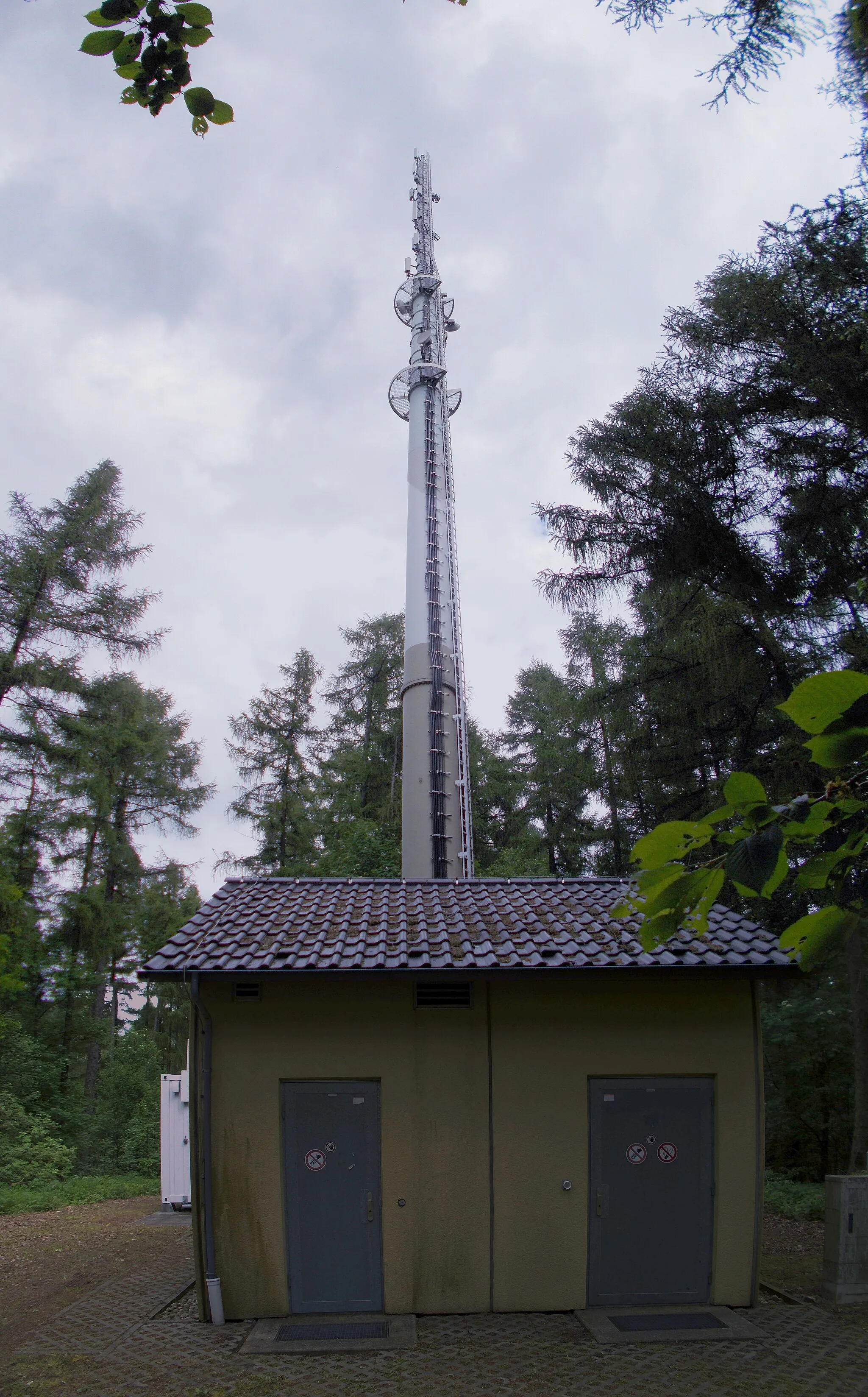 Photo showing: Mobilfunkmast auf dem Tanneberg bei Rrammenau