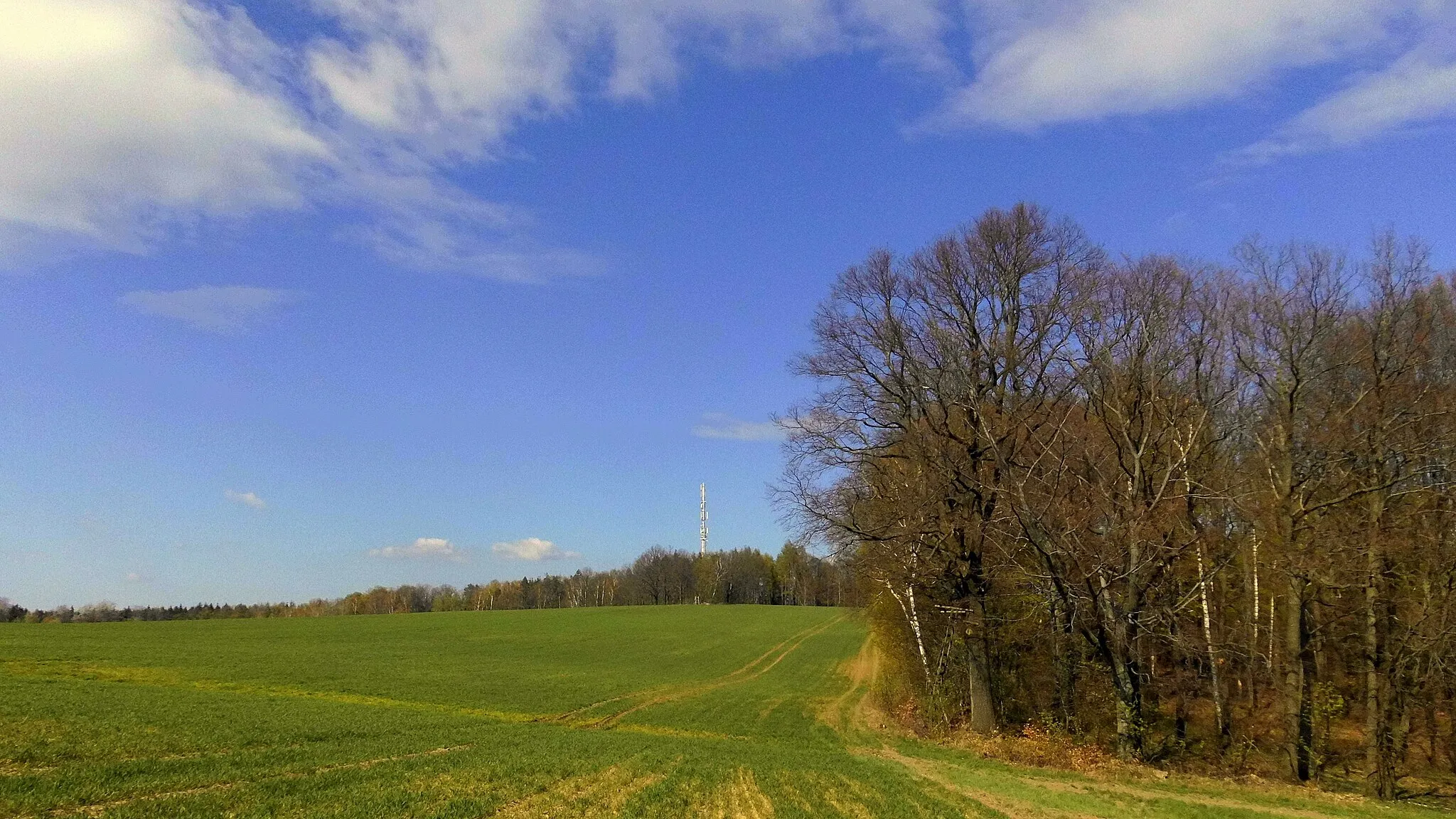 Photo showing: 2019 Rammenau Blick zum Tanneberg mit Mobilfunk-Sendemast