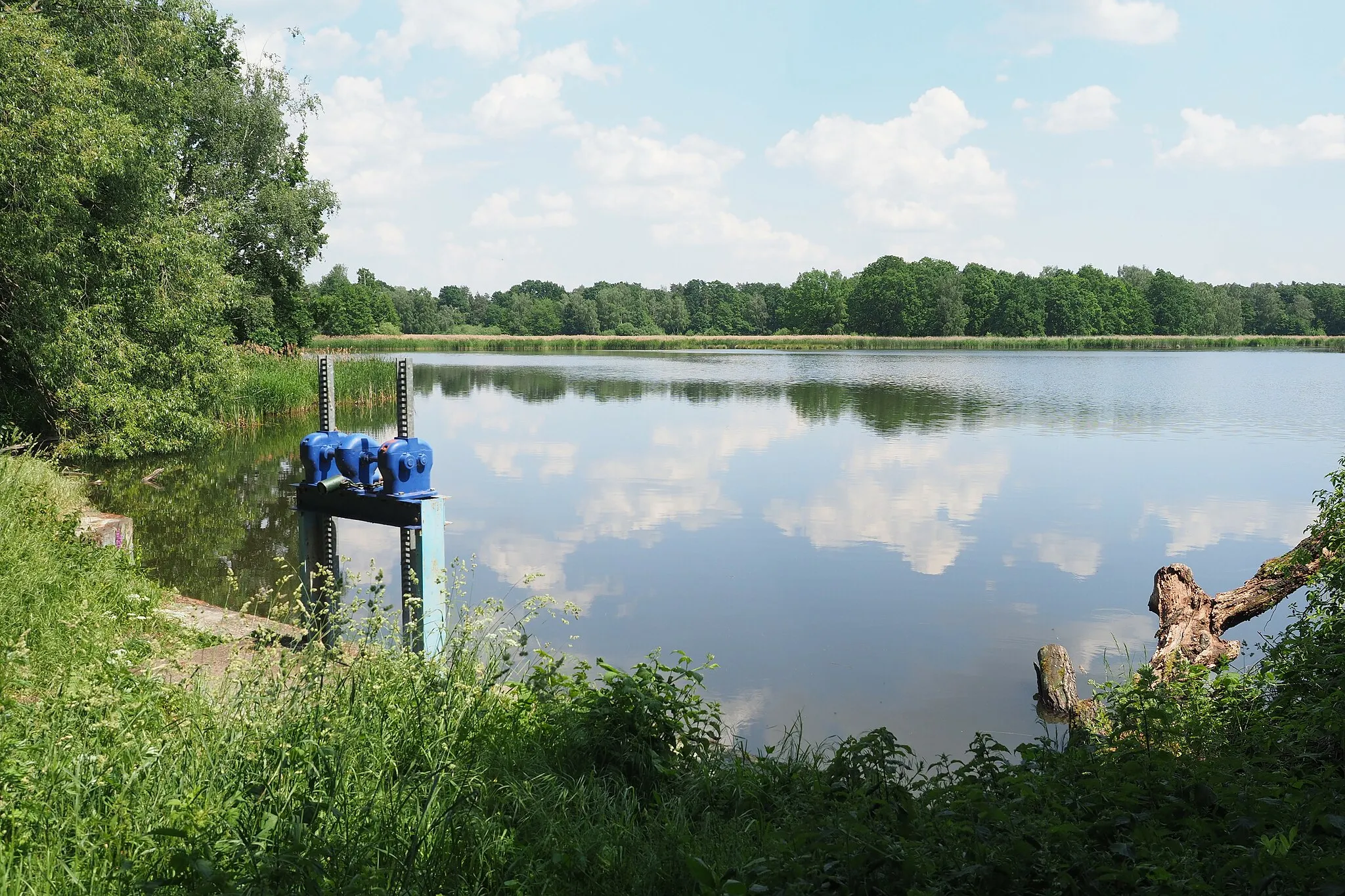 Photo showing: Naturschutzgebiet Vierteich Freitelsdorf in Sachsen