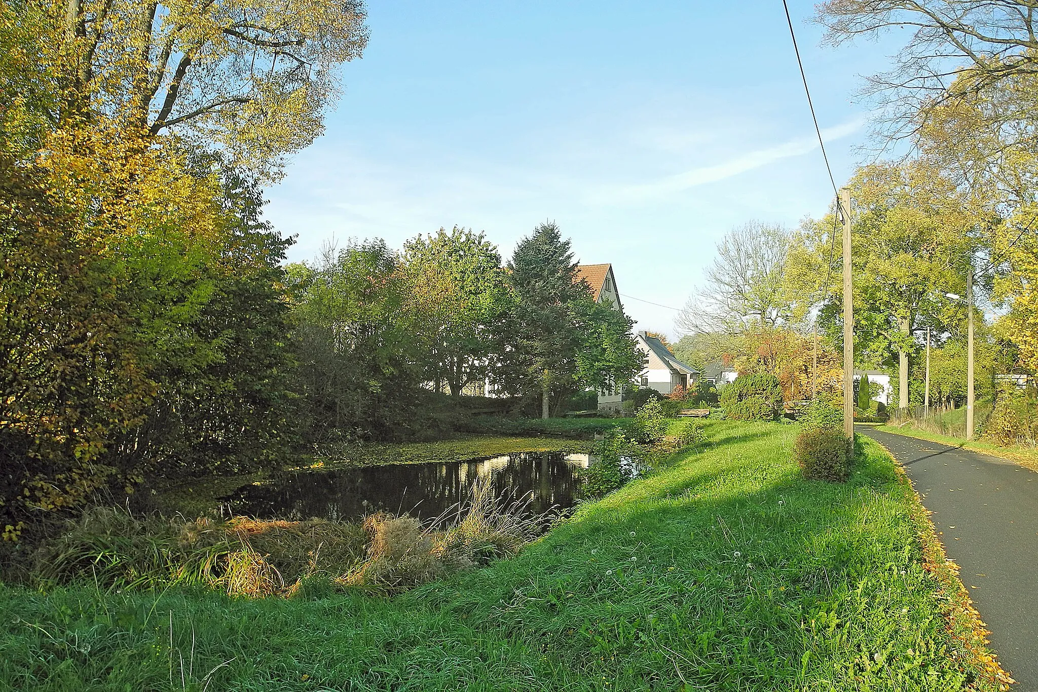 Photo showing: Teich am Wohnhaus in Langburkersdorf, Dorfstr. 156