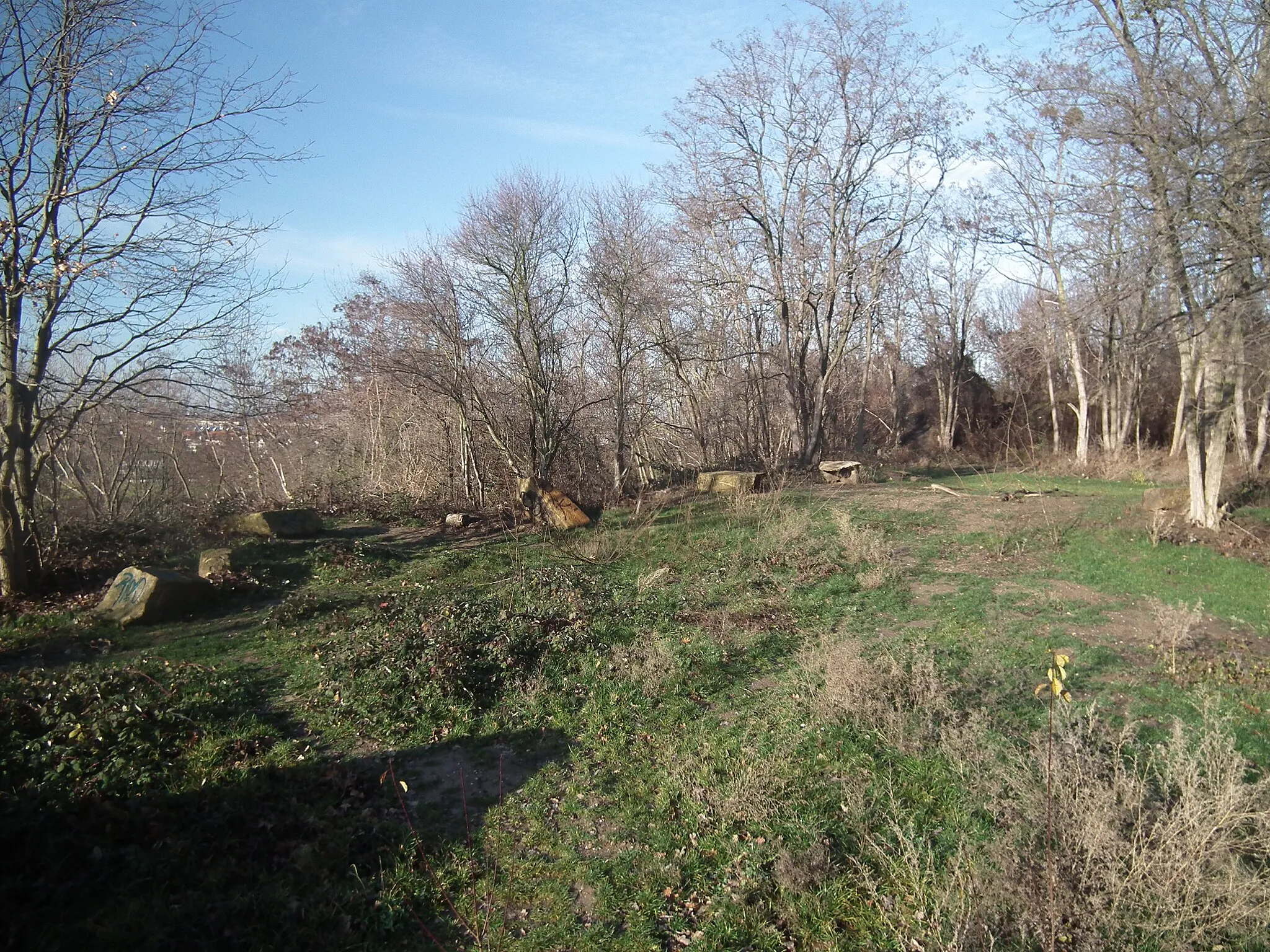 Photo showing: Spaziergang durch Tolkewitz, Laubegast, Seidnitz und Striesen