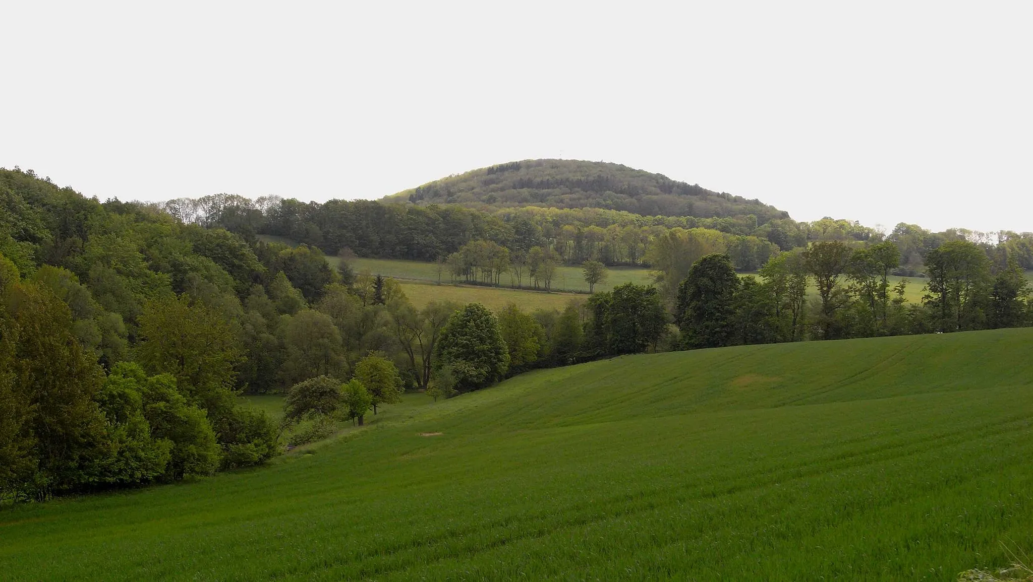 Photo showing: Lockwitzbachtal vor dem Luchberg (Sachsen, Deutschland)