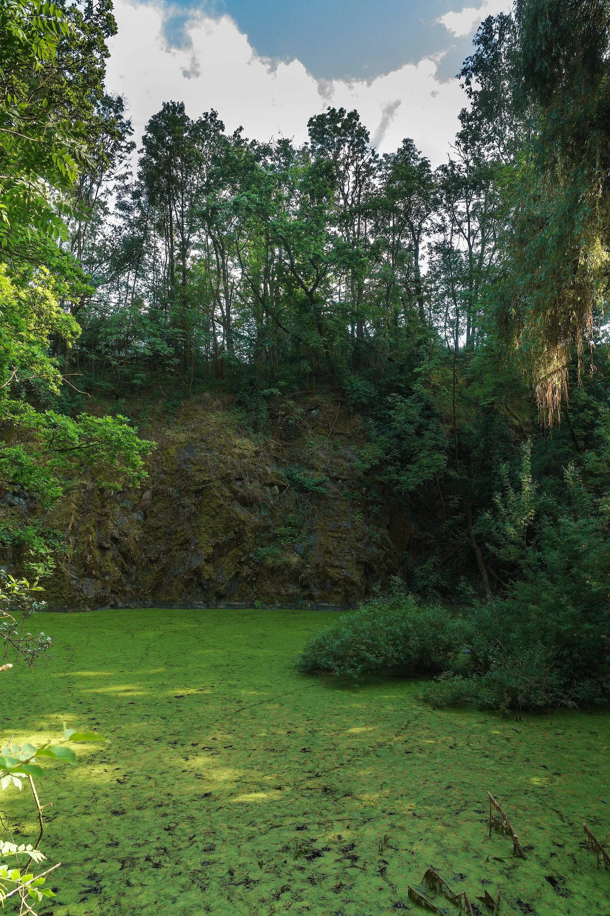 Photo showing: Südlicher Steinbruch Ganzig, ein Waldbiotop am Ostrand von Ganzig gelegenen. Ehemaligen Steinbruch in Liebschützberg OT Ganzig  tdo 316  nso 315