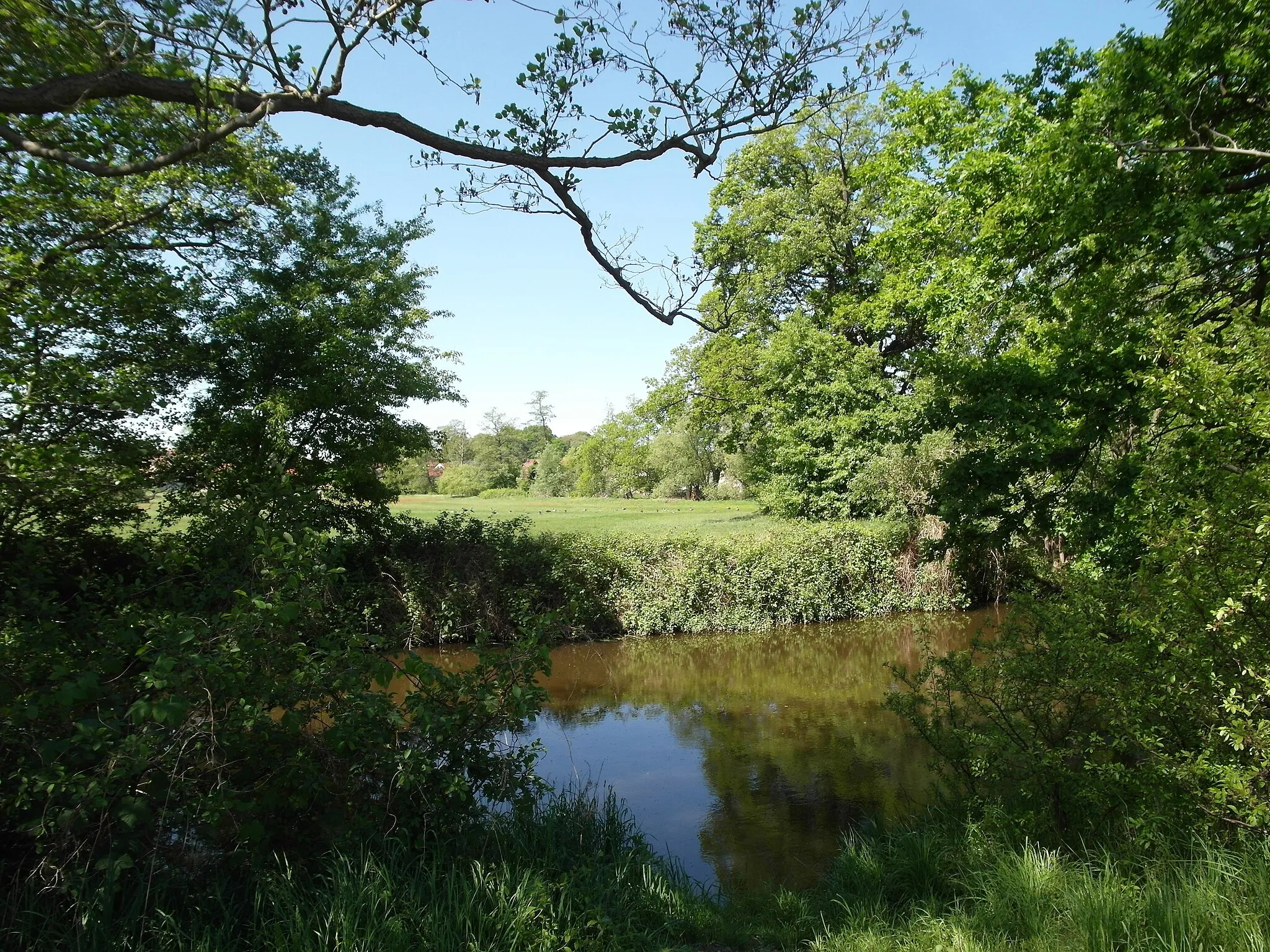 Photo showing: 07.05.2018   01561  Rödern (Ebersbach): Blick vom Nordostufer der Großen Röder (51.237815,13.704476) nach Westen. Auf der großen Wiese (GMP: 51.237433,13.703544) rasten Graugänse. 
Landschaftsschutzgebiet.                                                                                                                                                                                           [SAM5953.JPG]20180507230DR.JPG(c)Blobelt