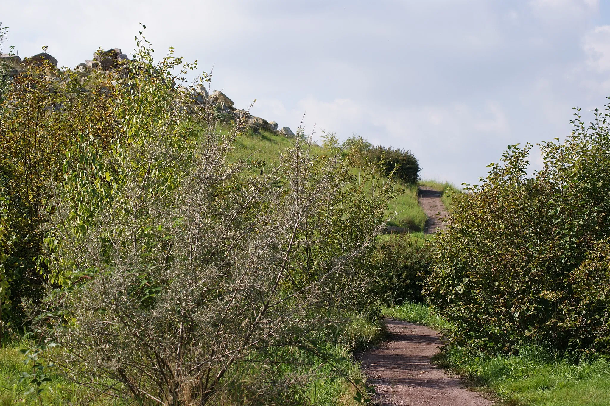 Photo showing: Tharandt, Forstbotanischer Garten (Landesarboretum): Pfad durch die „Rocky Mountains“