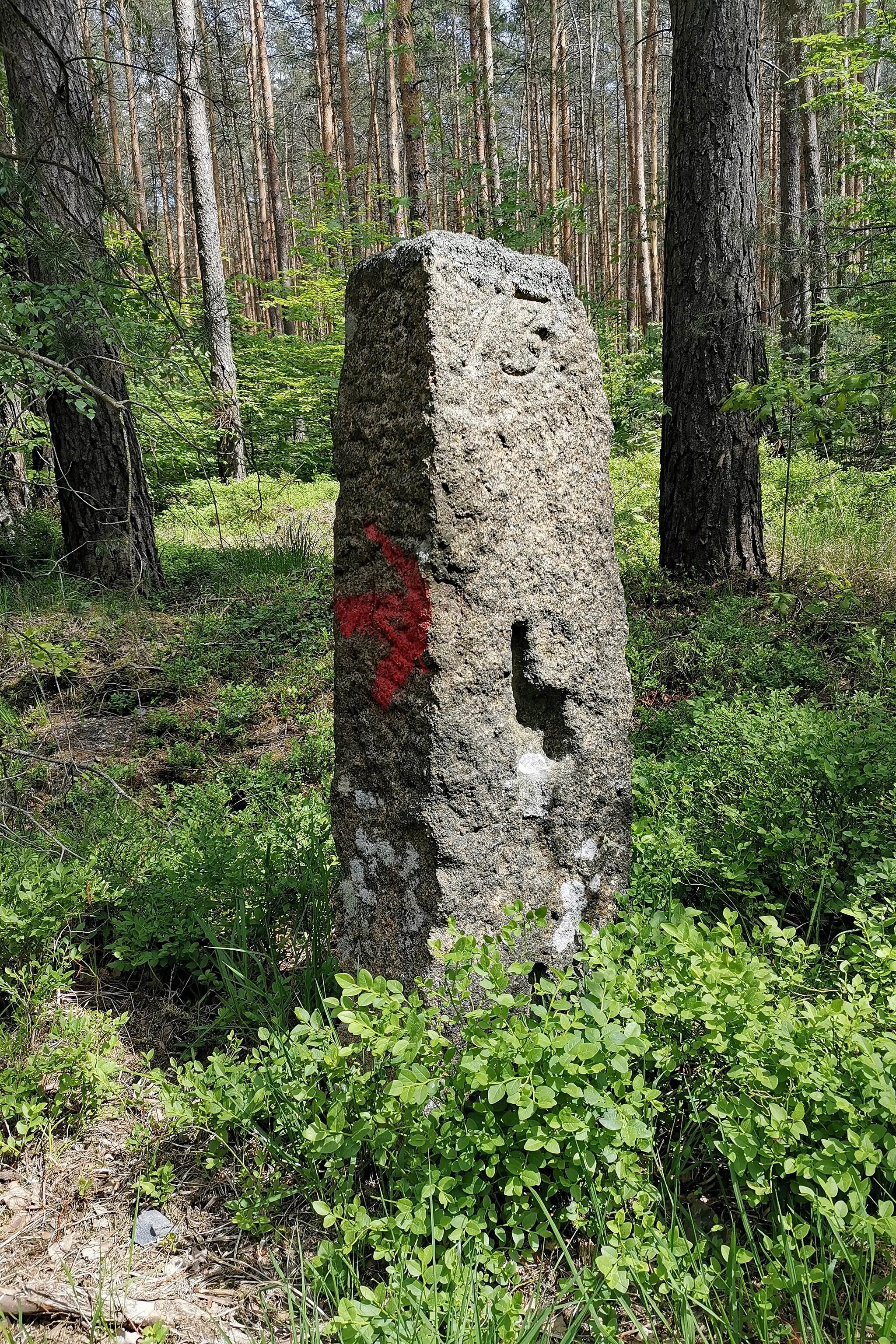 Photo showing: Stone signpost in Laußnitzer Heide (Saxony, Germany)