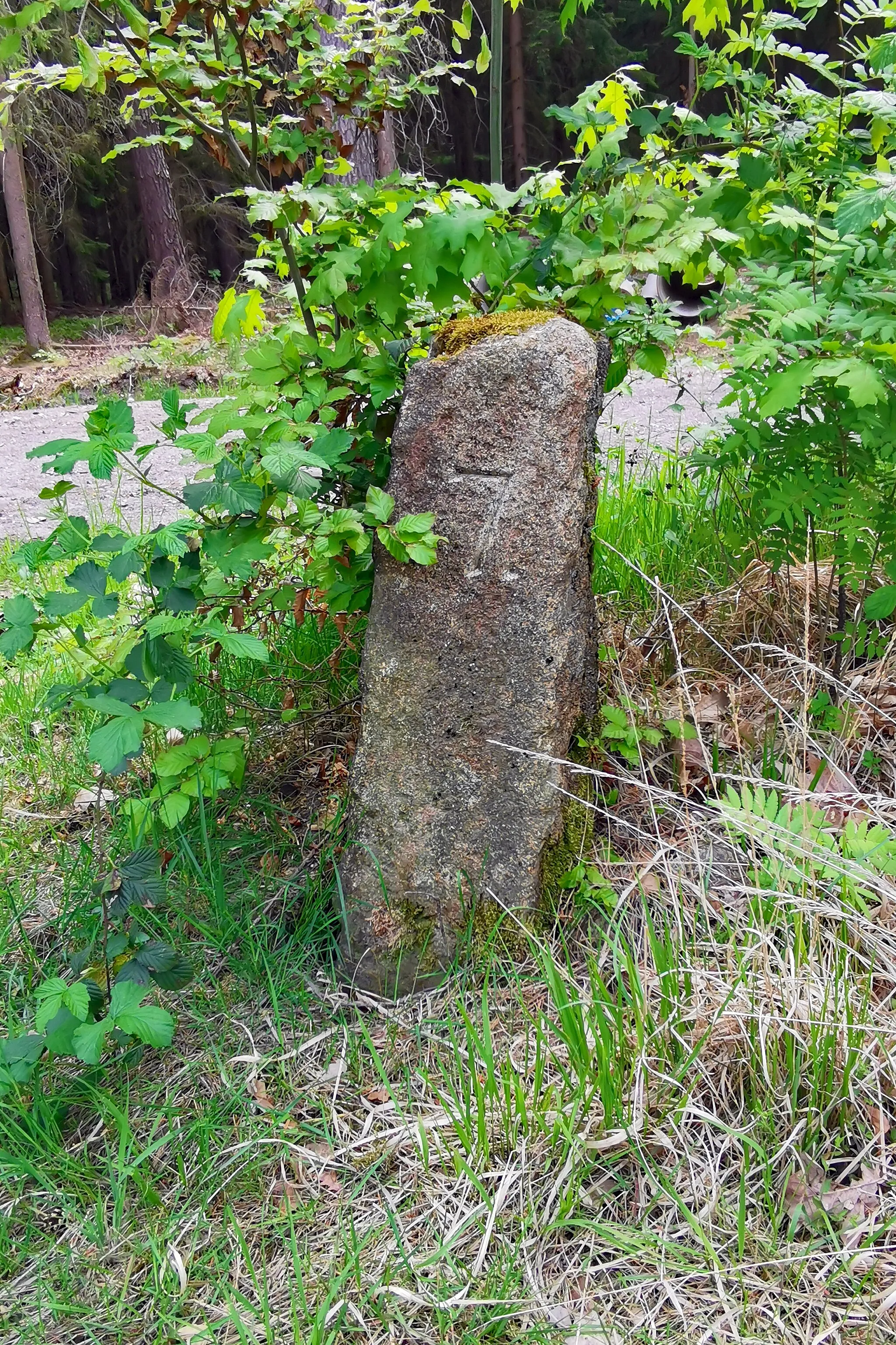 Photo showing: Stone signpost in Laußnitzer Heide (Saxony, Germany)