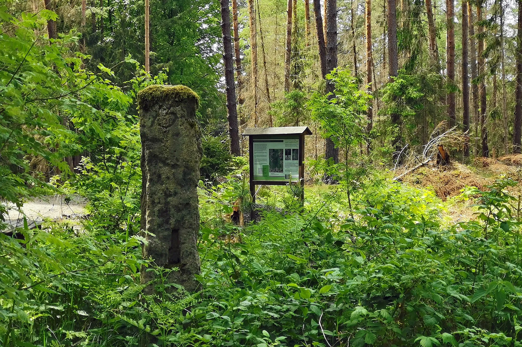 Photo showing: Stone signpost in Laußnitzer Heide (Saxony, Germany)