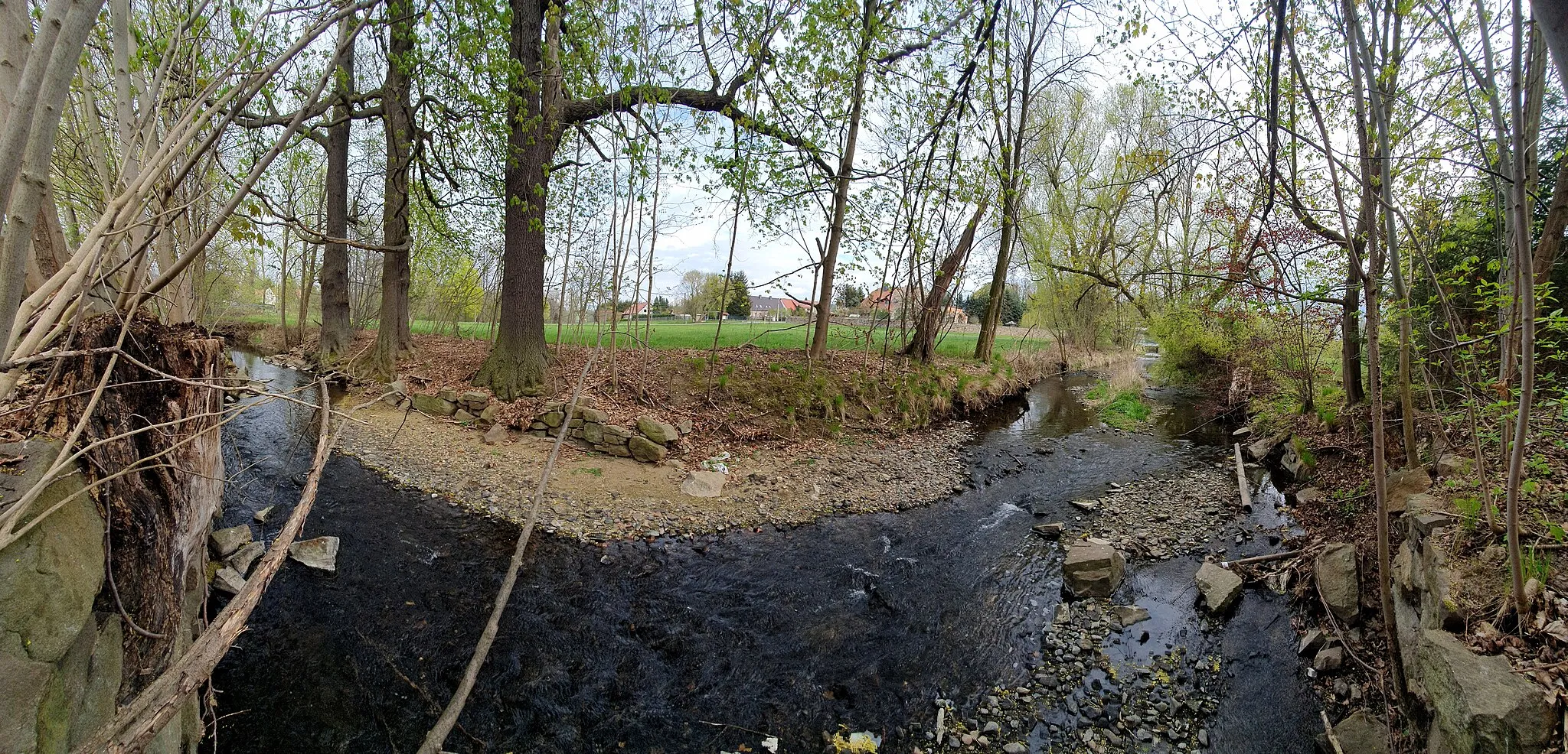 Photo showing: Großschweidnitzer Wasser