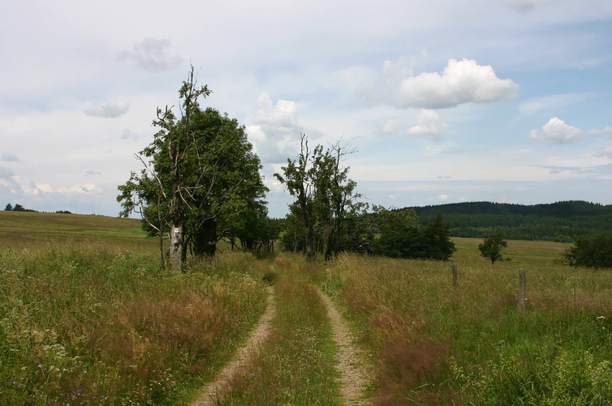 Photo showing: Platz der ehemaligen Gemeinde Grünwald (Pastviny) im Bezirk Teplitz.