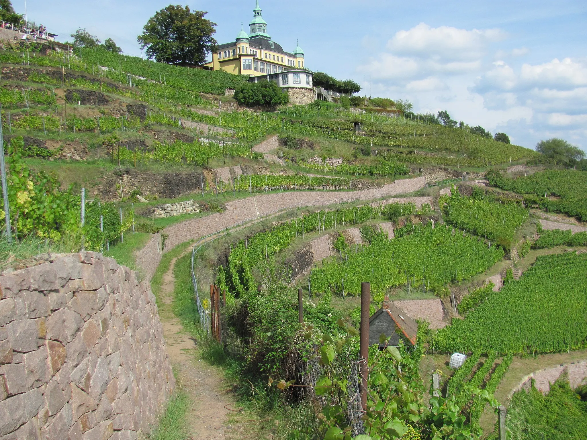 Photo showing: Radebeul-Oberlößnitz, Eggersweg nach Osten