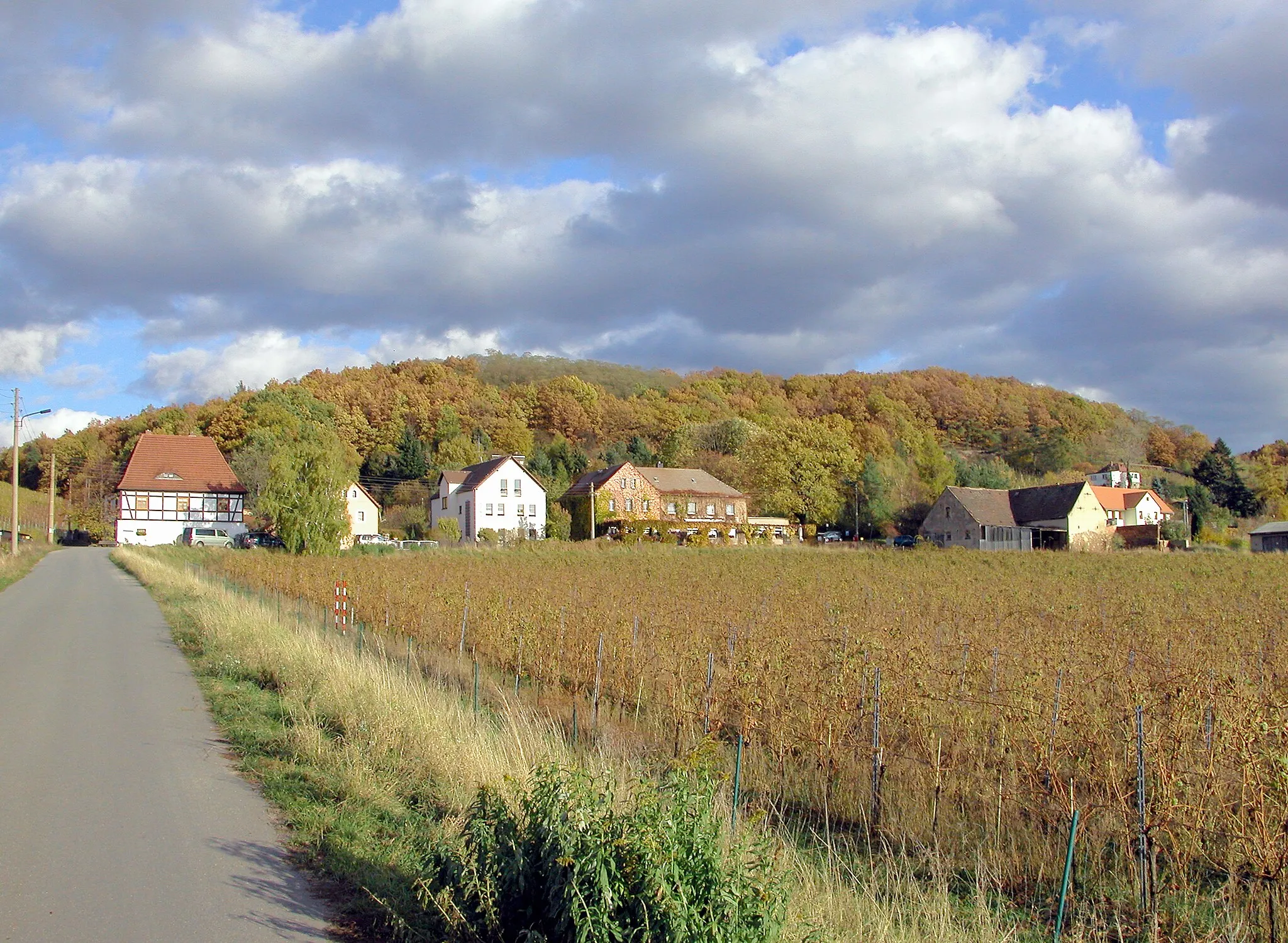 Photo showing: 05.11.2009  01640  Neucoswig (Coswig), Am Talkenberger Hof 3 (GMP: 51.130728,13.601025): Weingut Talkenberger Hof (1607). Die Weinberge am Rand des Friedewalds wurden im 16. Jahrhundert angelegt. Unter den Grundbesitzern war auch ein Georg Talkenberg (Jorg Dalchenbergk), der 1595 im Kirchenbuch von Coswig genannt wird. Dieser errichtete 1607 den Talkenberger Hof. Der Weinberg hatte wechselnde Besitzer. Diese wohnten nicht auf dem Talkenberger Hof, sondern nutzten ihn als Sommerhaus. 1647 war der Weinberg im Besitz des Moritzburger Amtsschössers Simon Heymann, 1665 erwarb ihn die Witwe des kurfürstlichen Sekretärs Christian Reichbrodt, der als Freiherr von Schrenkendorff in den Adelstand aufgestiegen war. 1960 vereinigten sich drei Neucoswiger Gärtnereien zur Gärtnerischen Produktionsgenossenschaft "Am Talkenberger Hof". Seit den 1970er Jahren wurden die alten Weinberge wieder aufgerebt. Im Weinberghaus, das nach 1994 denkmalgerecht restauriert wurde, befinden sich Wohnungen.                 [DSCN40038.TIF]20091105480DR.JPG(c)Blobelt