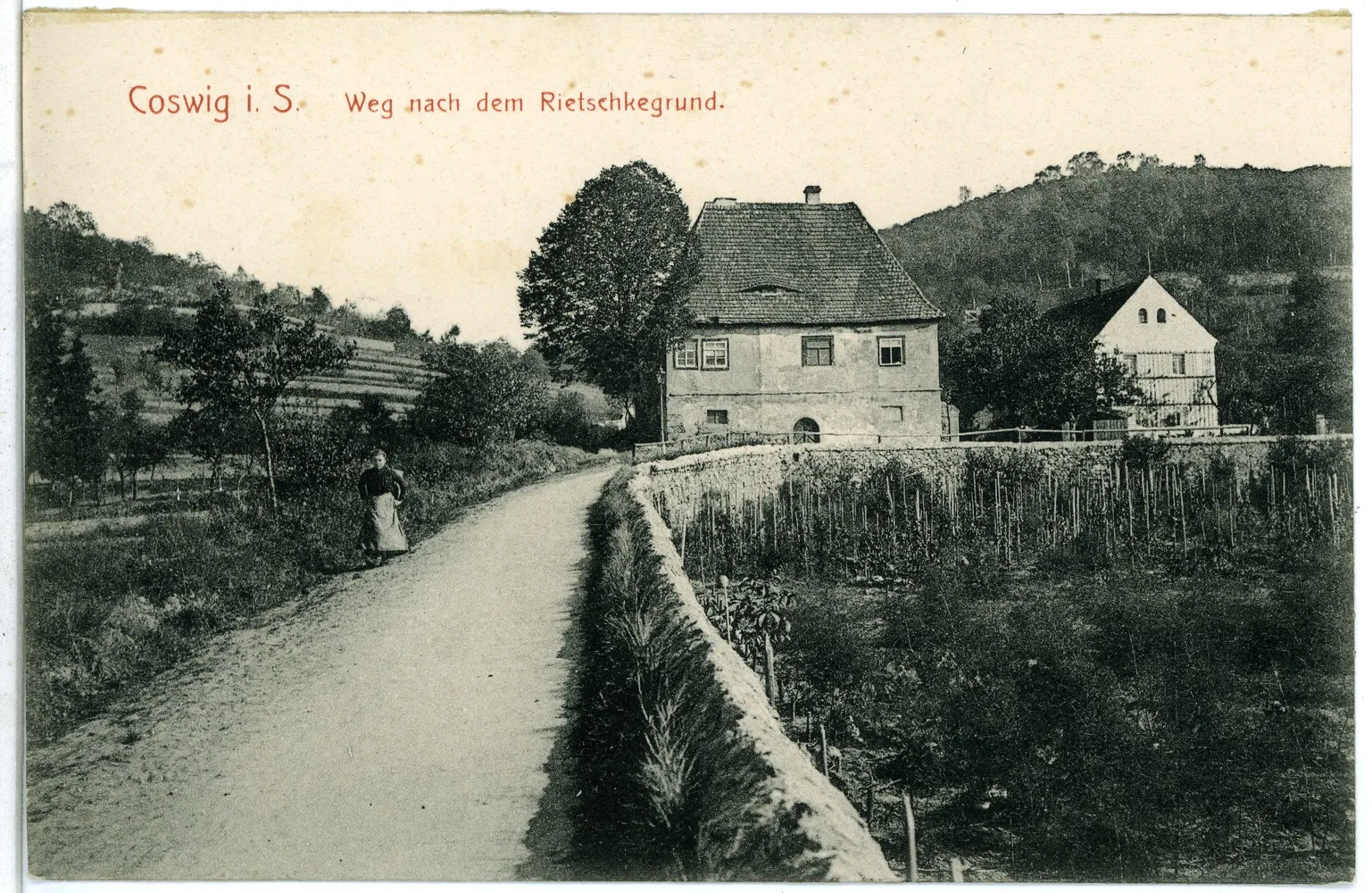 Photo showing: Coswig; Weg nach dem Rietzschkegrund