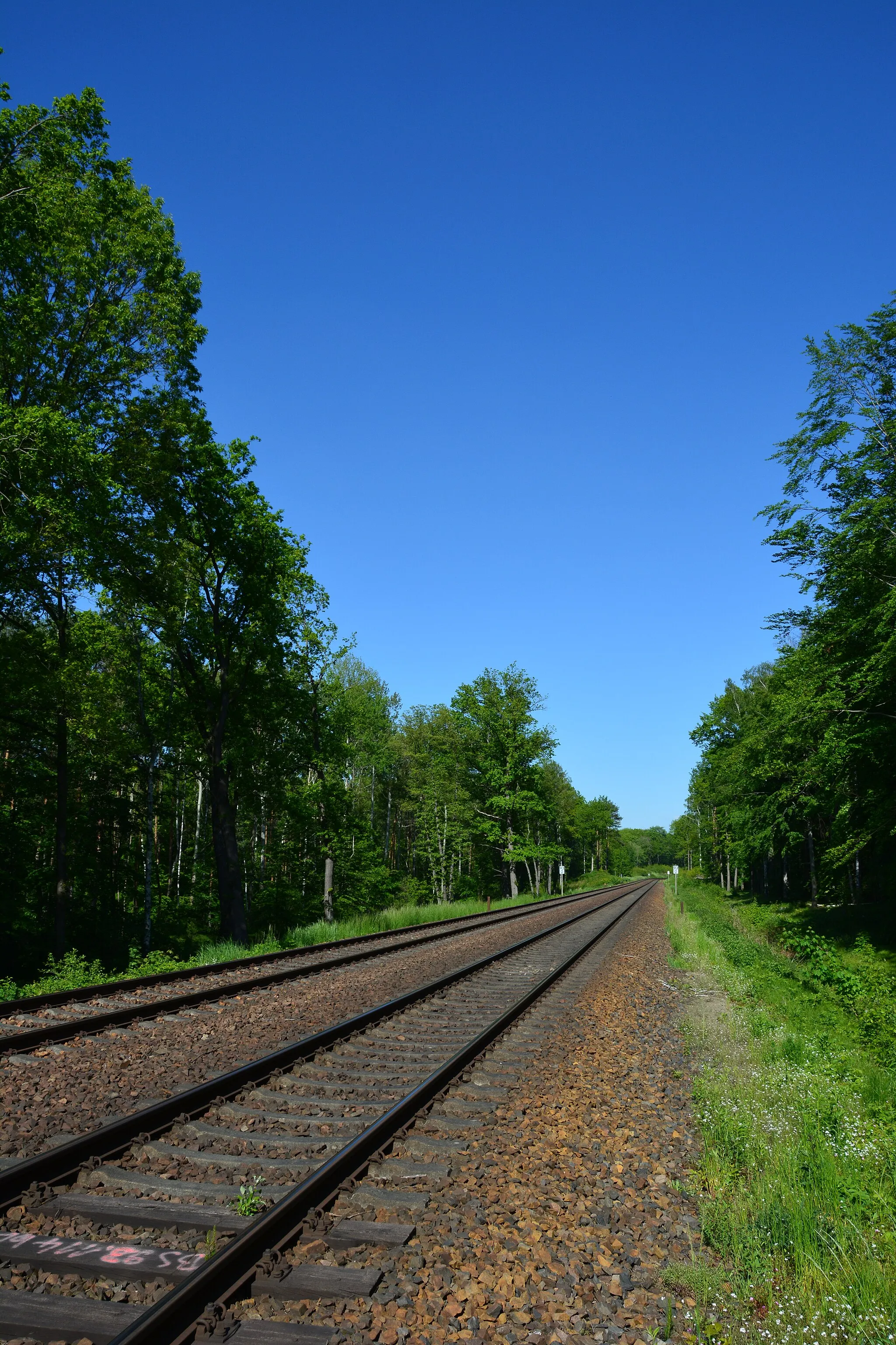 Photo showing: Bahnstrecke Richtung Langebrück