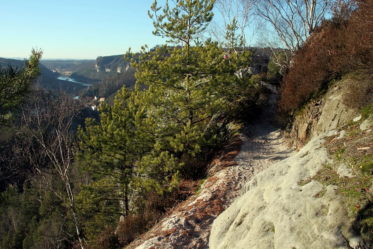 Photo showing: Saxon Switzerland: on top of the Gamrig (253 metres) near Rathen.