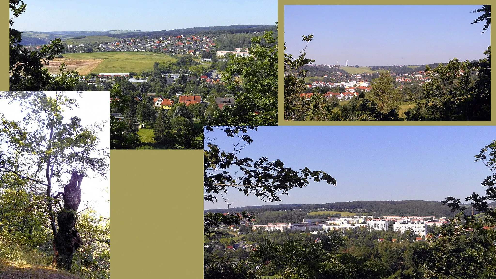 Photo showing: 2019 Freital Blick vom Burgwartsberg - Blick zum Neubaugebiet "Am Pulverturm", nach Wurgwitz und auf das Wohngebiet Zauckerode.
Die einst abgestorbene Buche hat wieder einen Ausstrieb:

File:Alte_Buche_Burgwartsberg.jpg