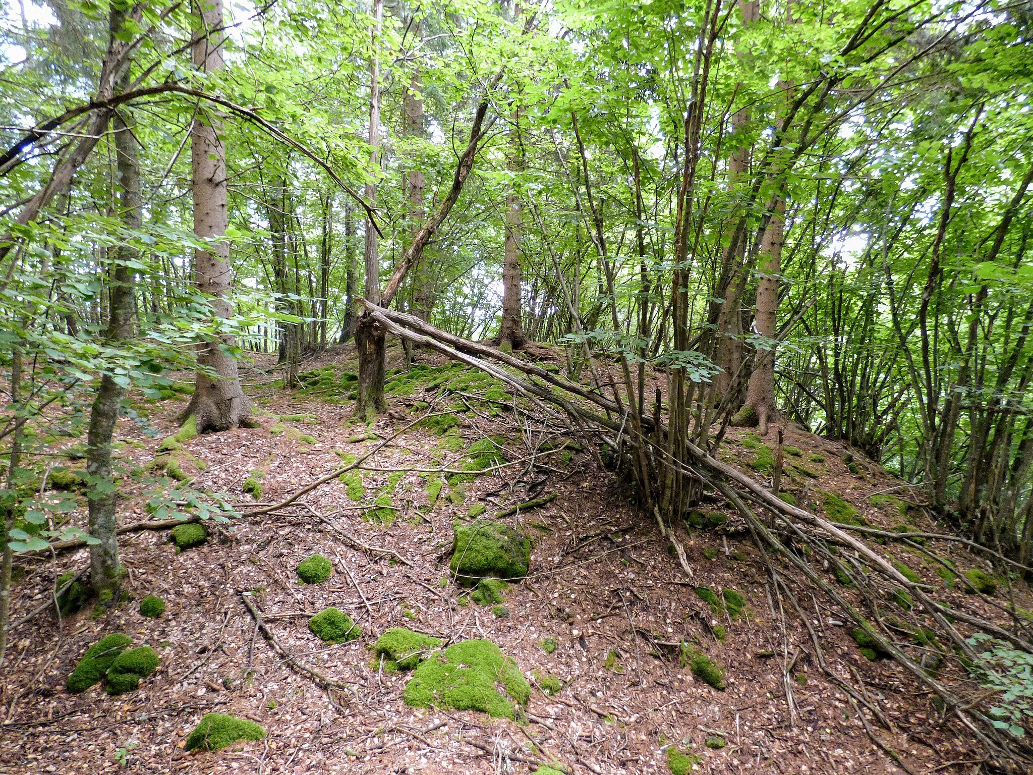 Photo showing: Burgruine Braunsberg, Gemeinde Weitensfeld im Gurktal (Kärnten).
Burghügel