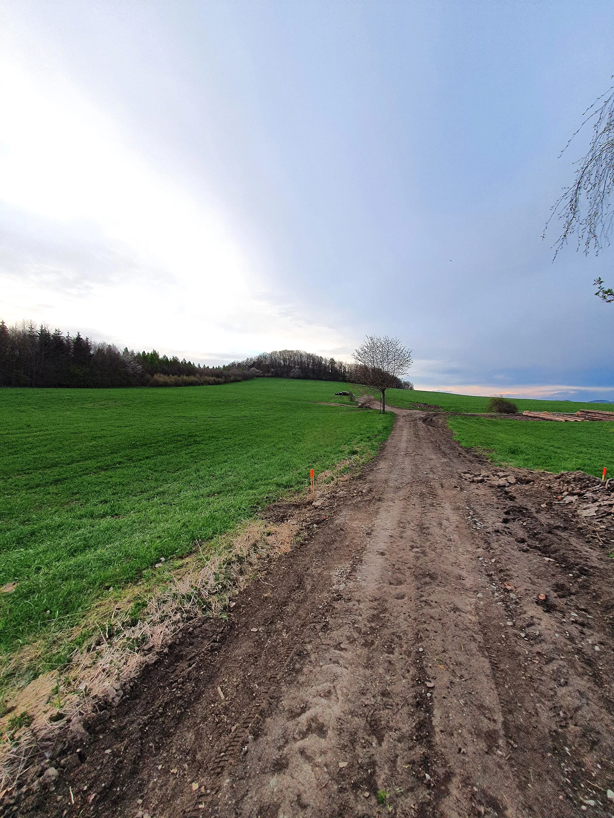 Photo showing: Südwestansicht des Naturdenkmal Frenzelsberg bei Seifhennersdorf