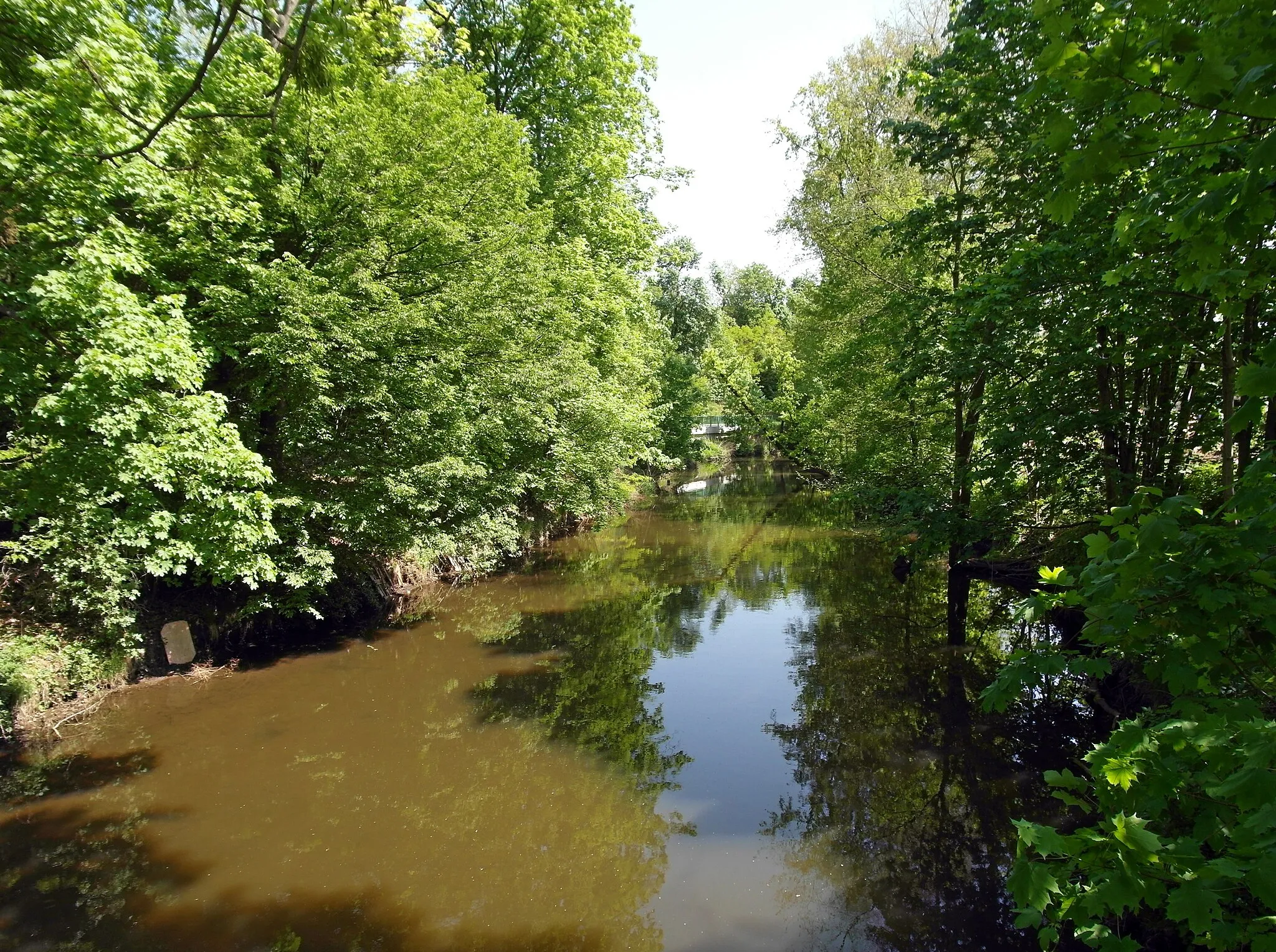 Photo showing: 04.05.2018   01471  Großdittmannsdorf (Radeburg): Blick von der Brücke nahe Boden (GMP: 51.208142,13.756883) über die Große Röder flußaufwärts.                                                                                               [SAM5816.JPG]20180504100DR.JPG(c)Blobelt