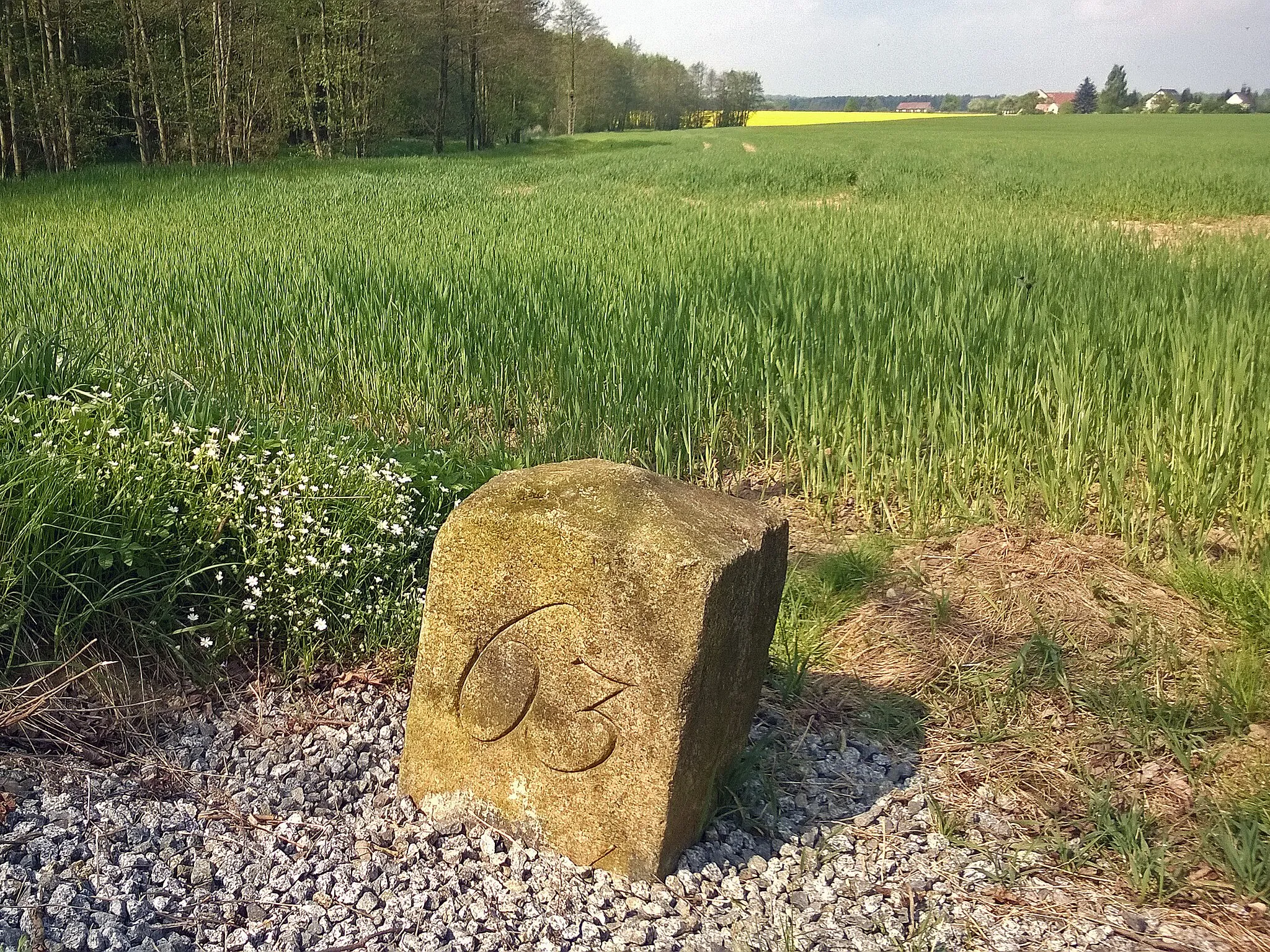 Photo showing: This media shows the protected monument of Saxony with the ID 09305564 KDSa/09305564(other).