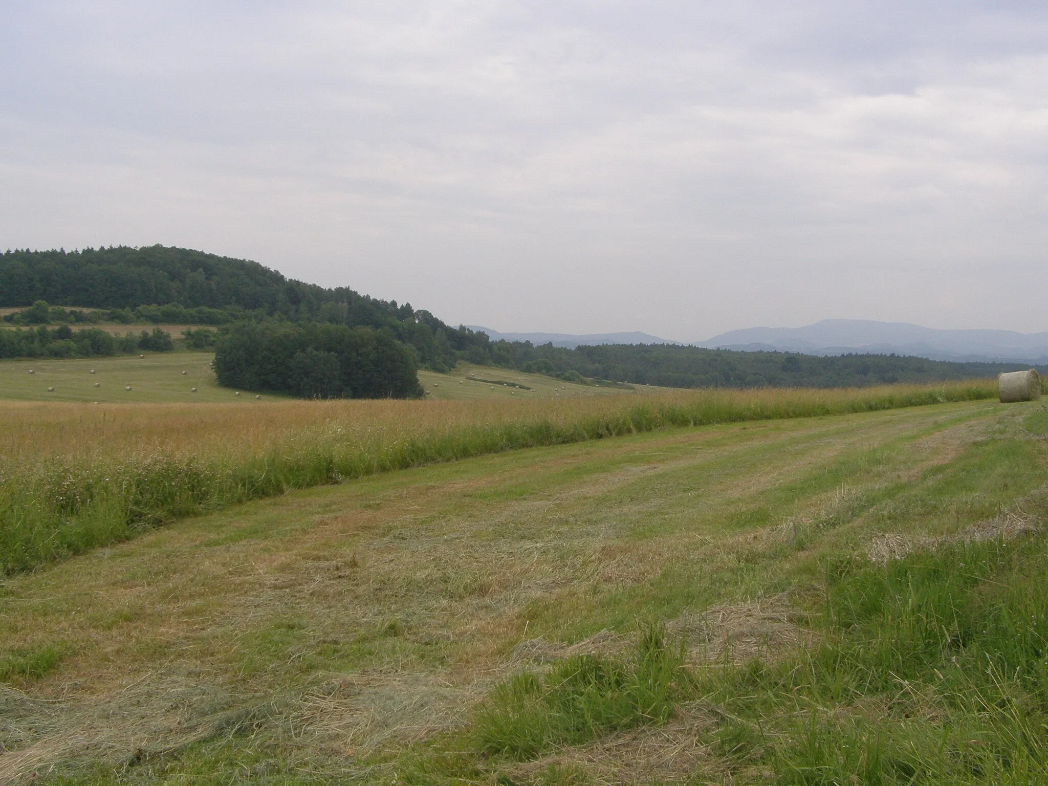 Photo showing: Cvikovská pahorkatina, výhled ze severozápadní úbočí vrcholu Kovářský vrch (461 m) na severozápad: vlevo vrchol Kamenáč (434 m)