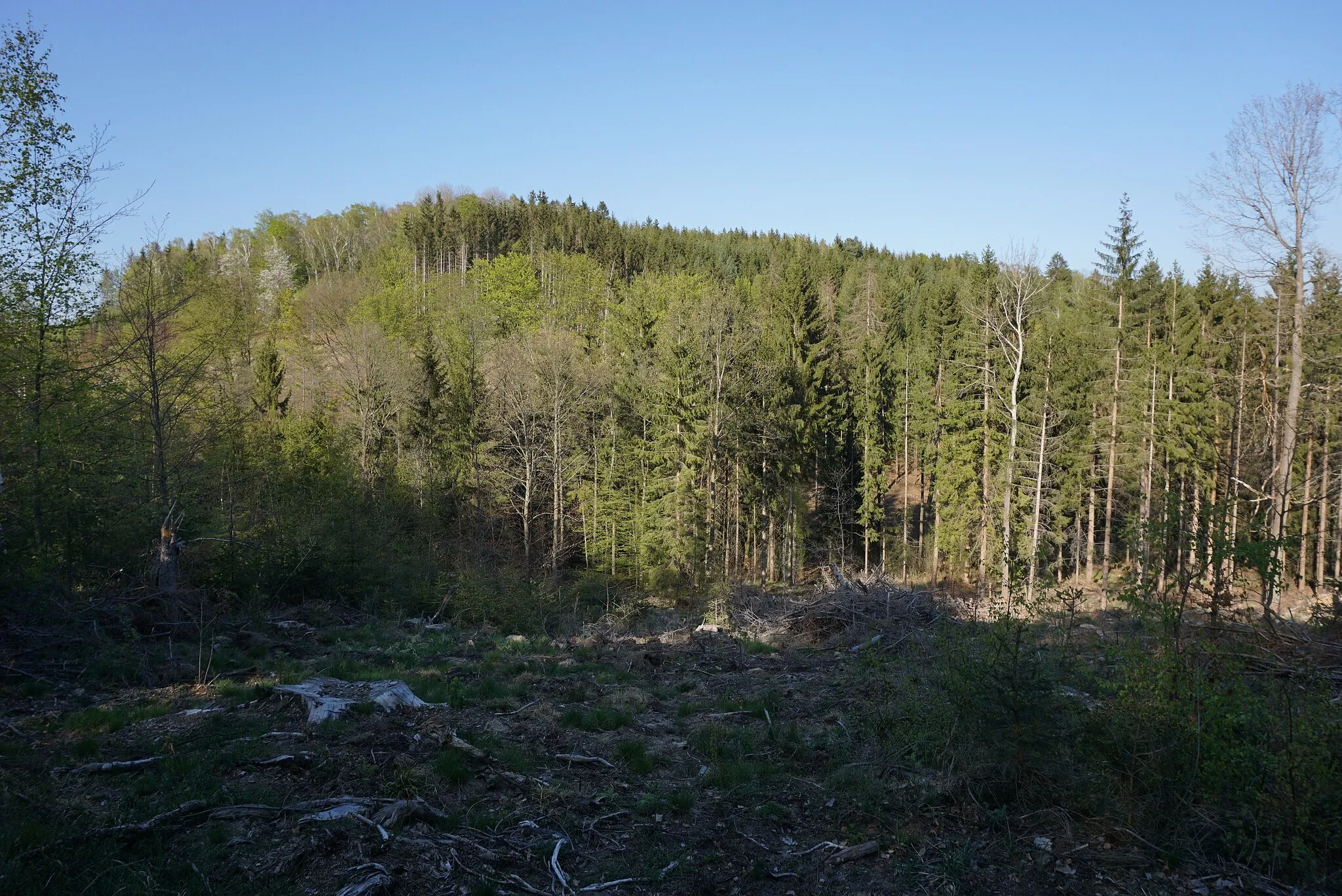 Photo showing: Chudý vrch (Stolleberg, 433 m) u Cvikova - pohled od JZ