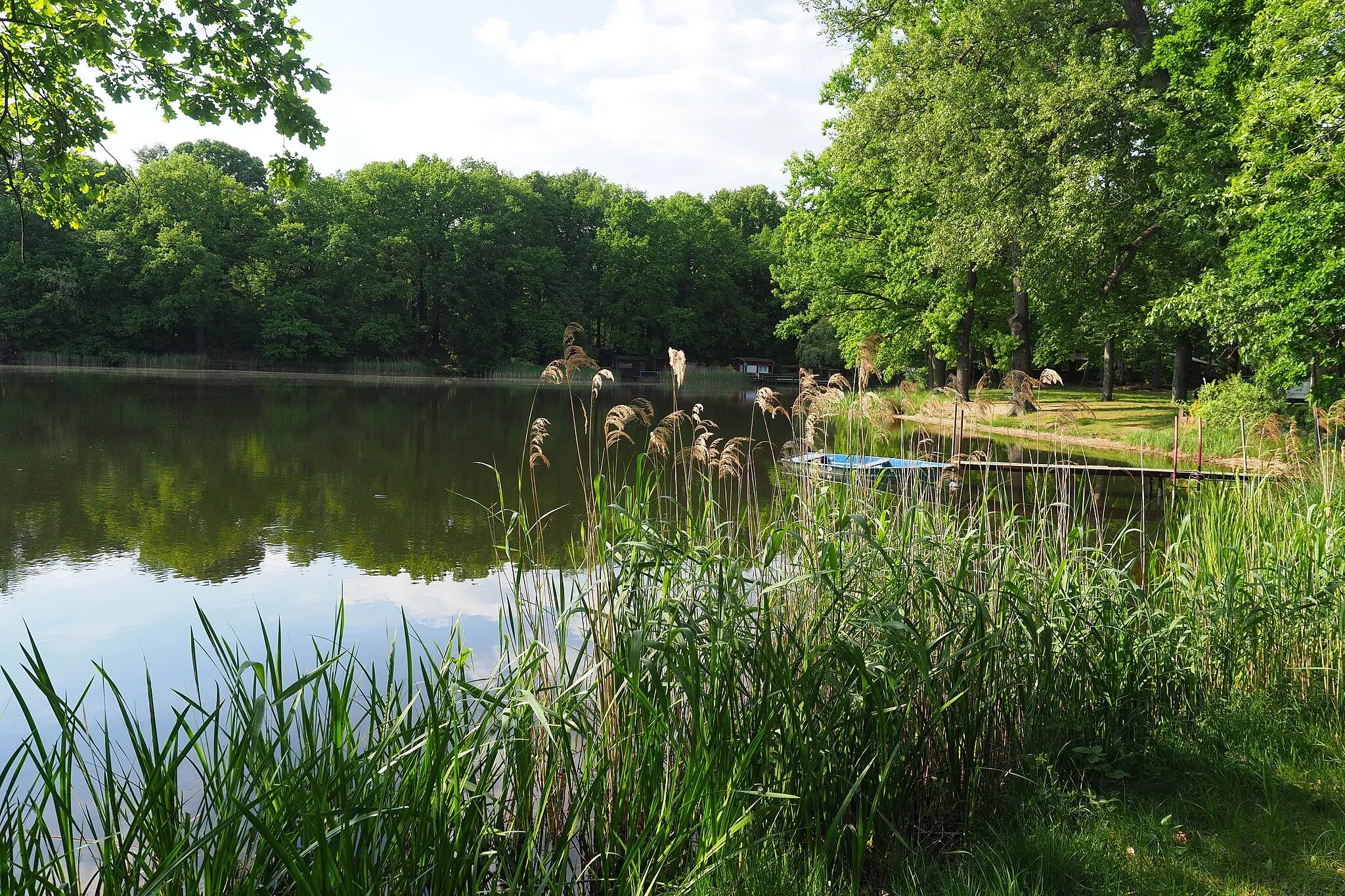 Photo showing: Brettmühlenteich bei Dobra