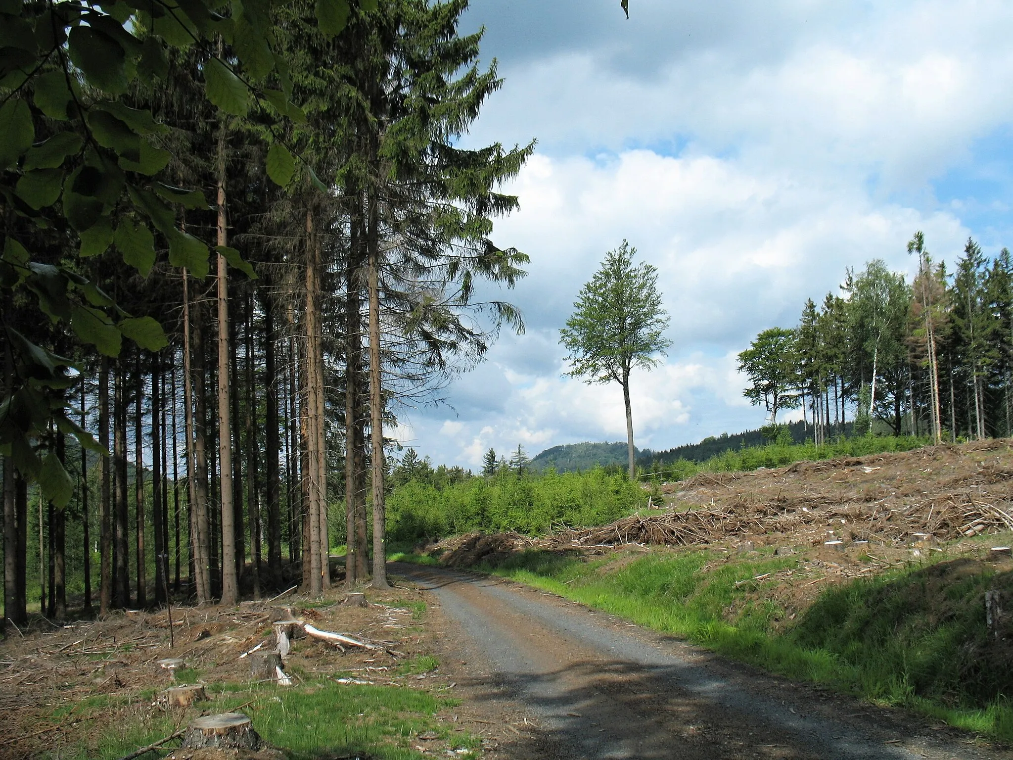 Photo showing: Malý Stožec od cesty, vedoucí z nádraží Jedlová k železničnímu přejezdu