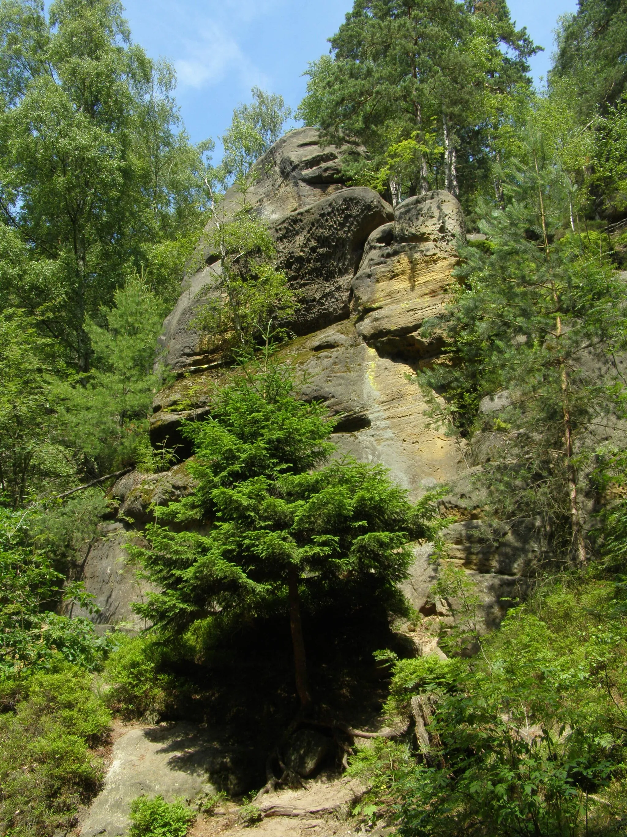 Photo showing: Svojkov, Modlivý důl, skála v úbočí vrcholu Slavíček (534 m)