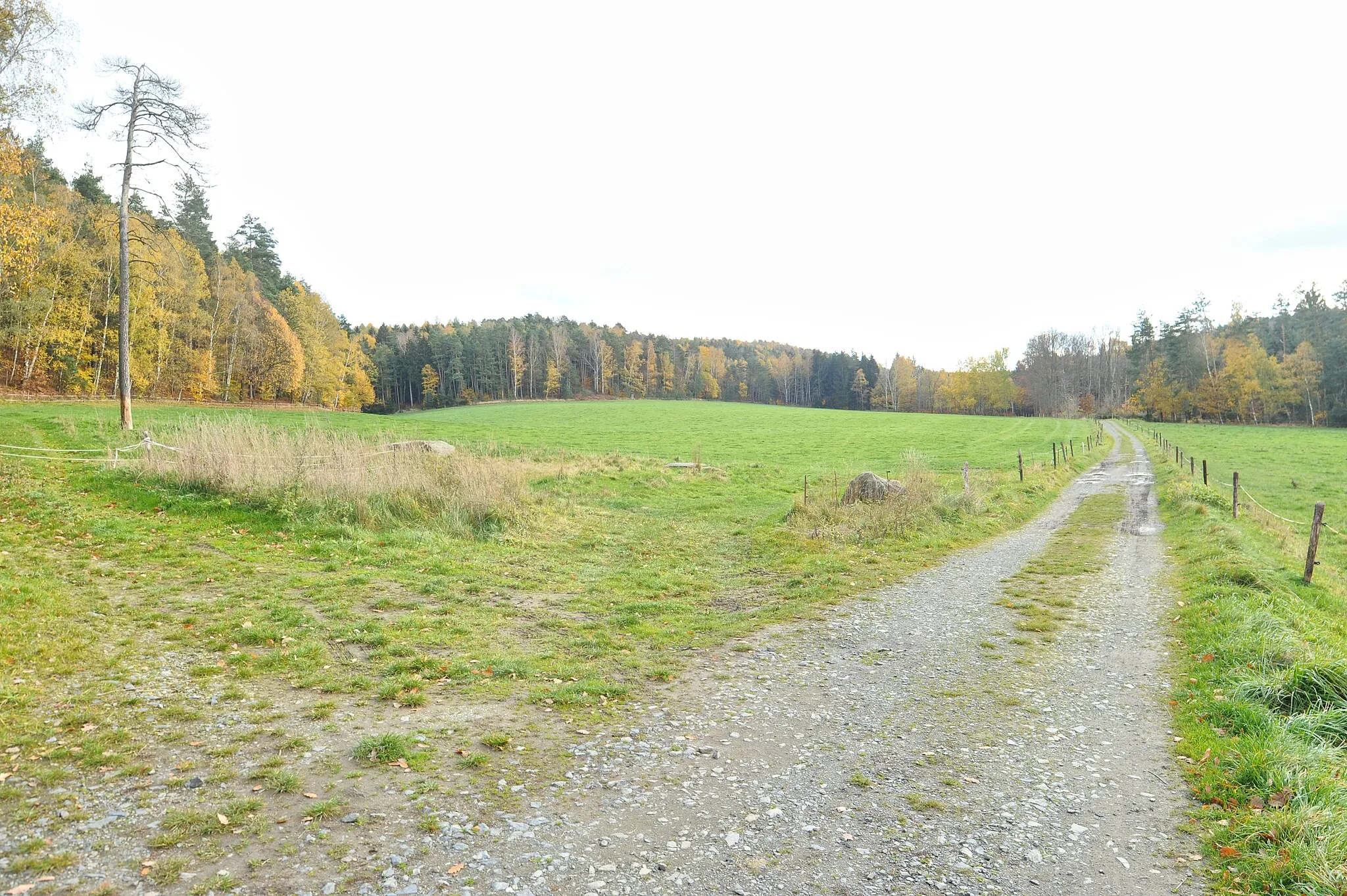 Photo showing: Königstein, OT Leupoldishain: Feldweg in den Wiesen der Schulgründe, am Rande der Breiten Heide (Landkreis Sächsische Schweiz-Osterzgebirge, Freistaat Sachsen, Deutschland)