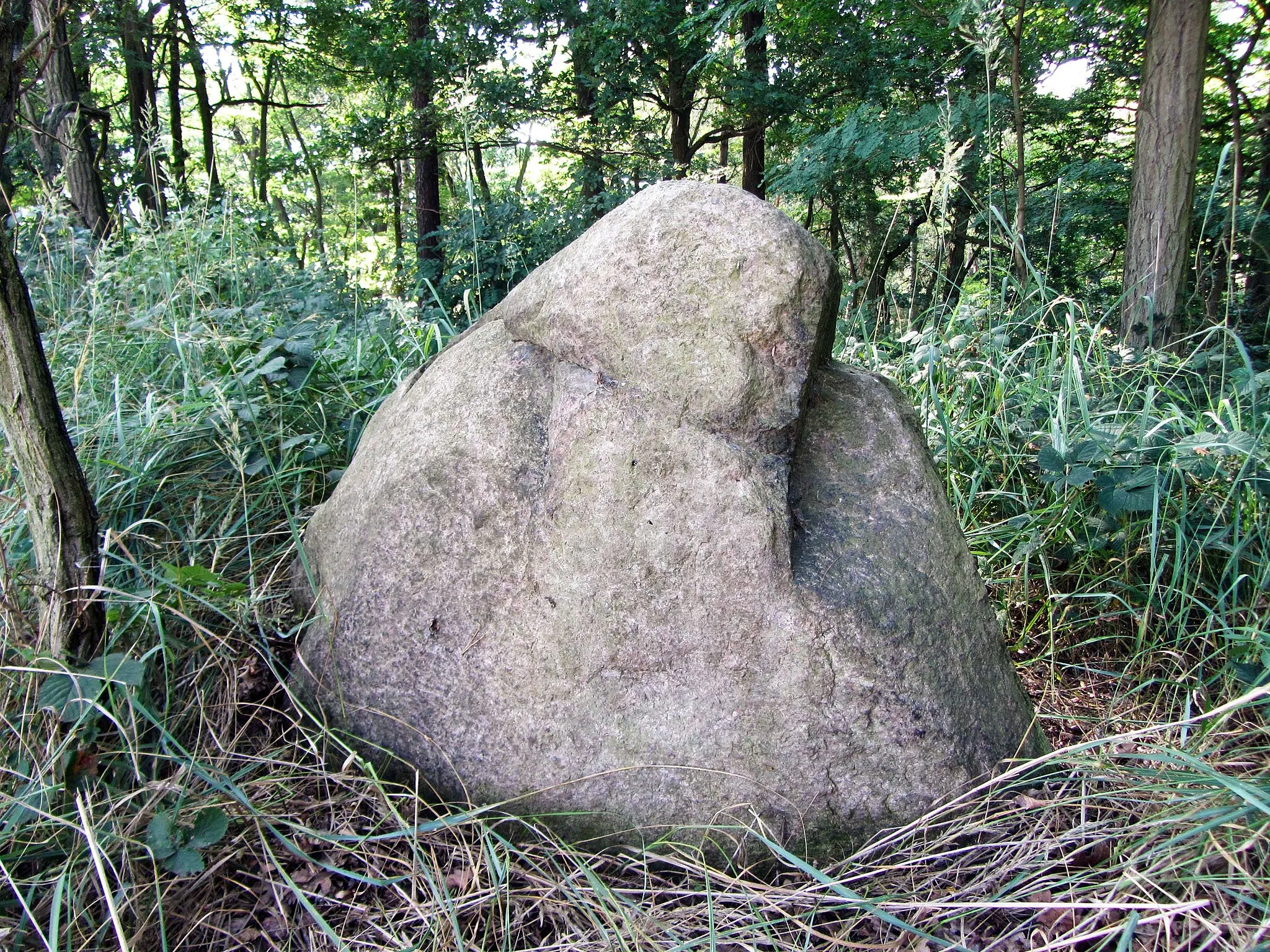 Photo showing: Menhir Spitzer Stein östlich von Zeuckritz, nördlich der K8921, westlich der K8922 in Cavertitz OT Zeuckritz