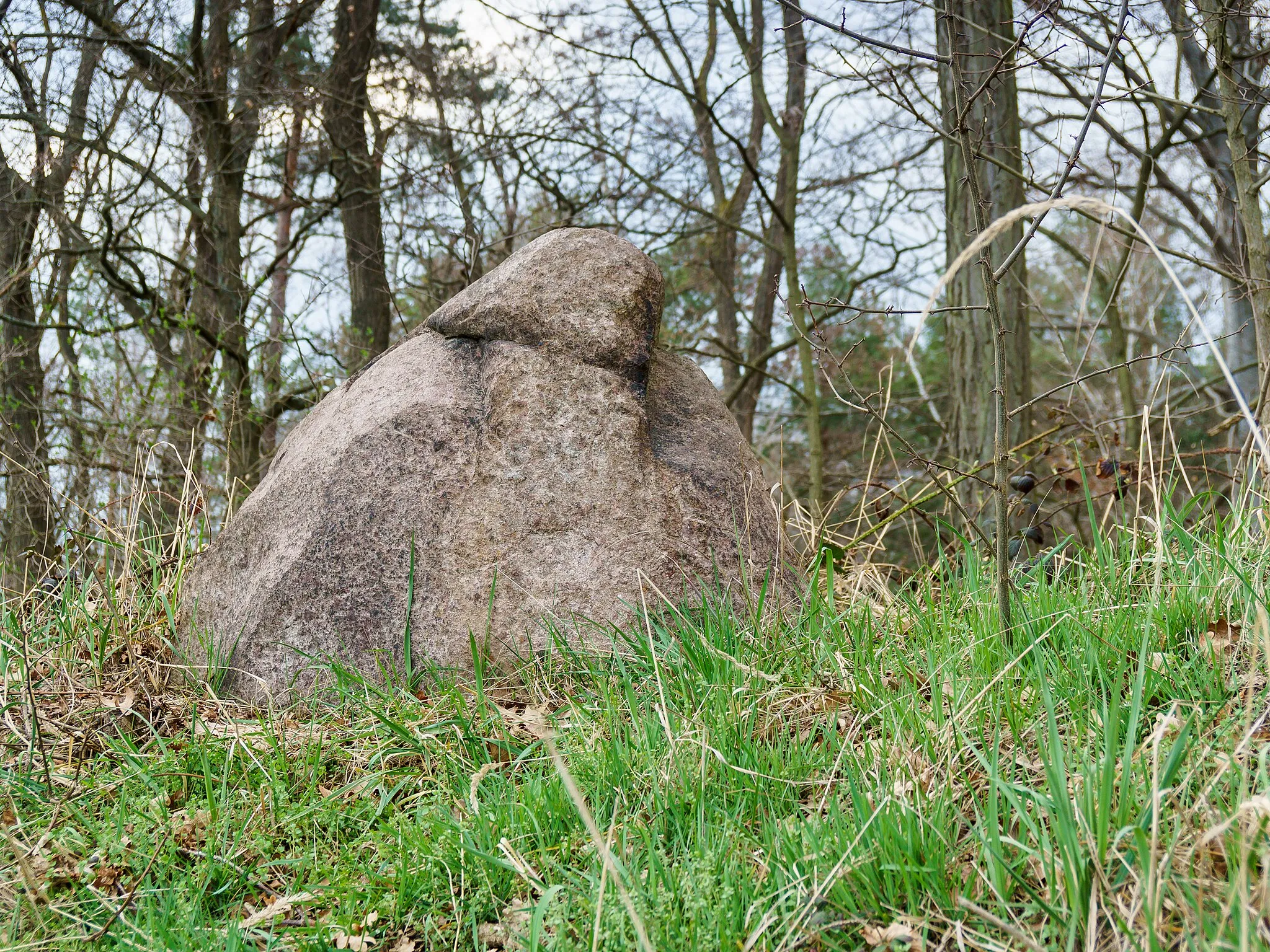 Photo showing: Menhir Spitzer Stein am Rand der Dahlener Heide, östlich von Zeuckritz, nördlich der K8921, westlich der K8922 in Cavertitz OT Zeuckritz
