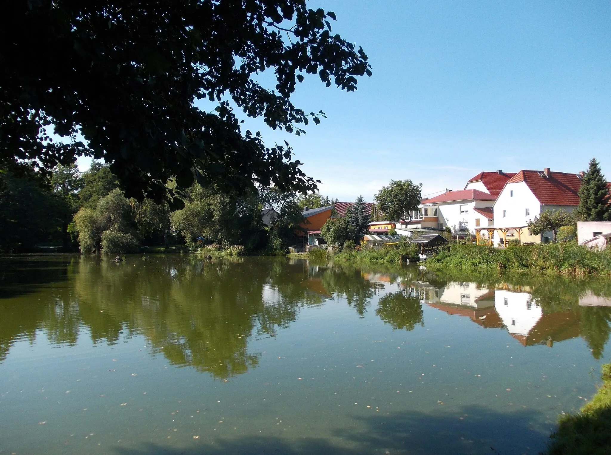 Photo showing: Pond in Leckwitz (Liebschützberg, Nordsachsen district, Saxony)