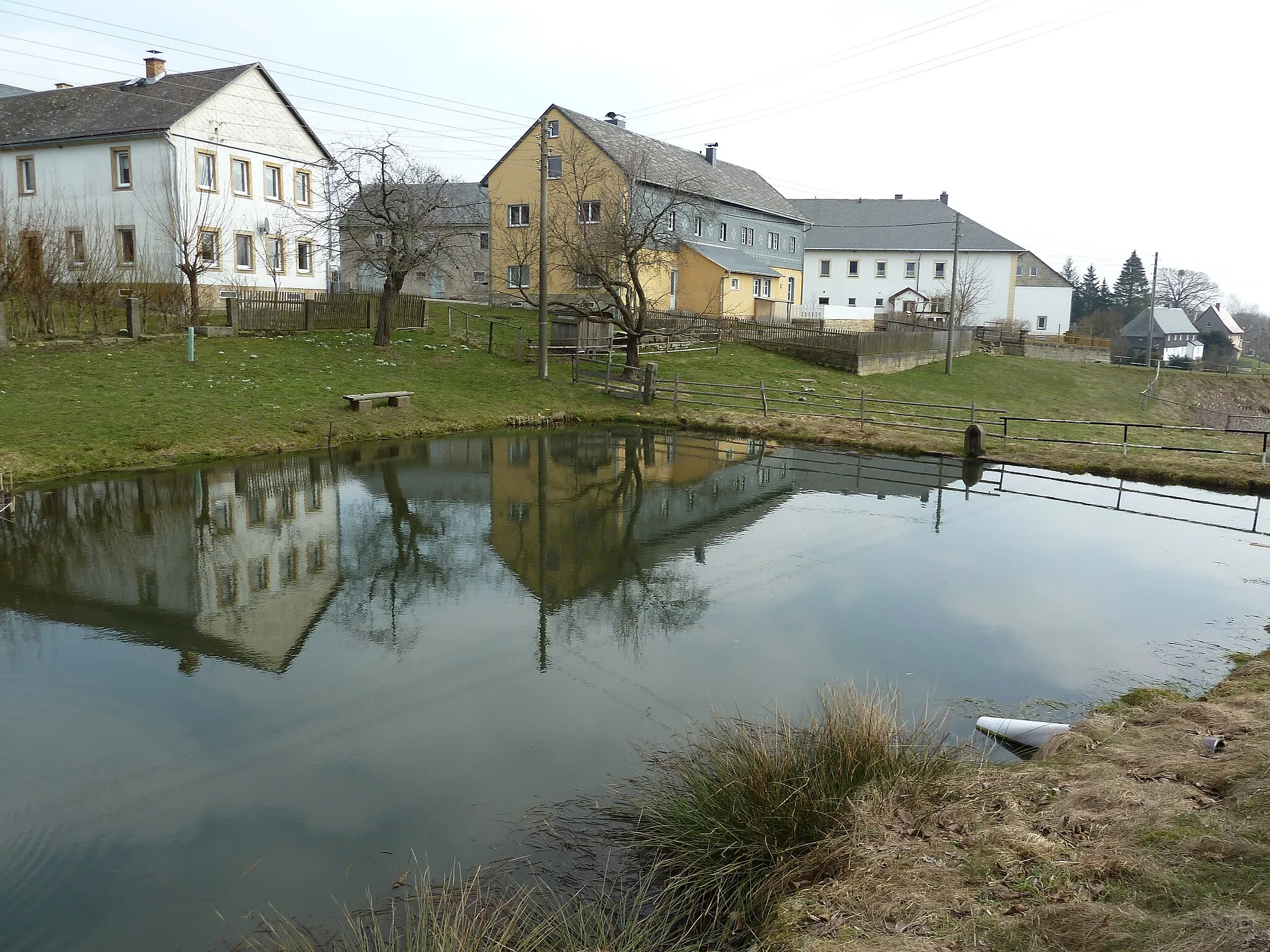 Photo showing: Teich in Heeselicht