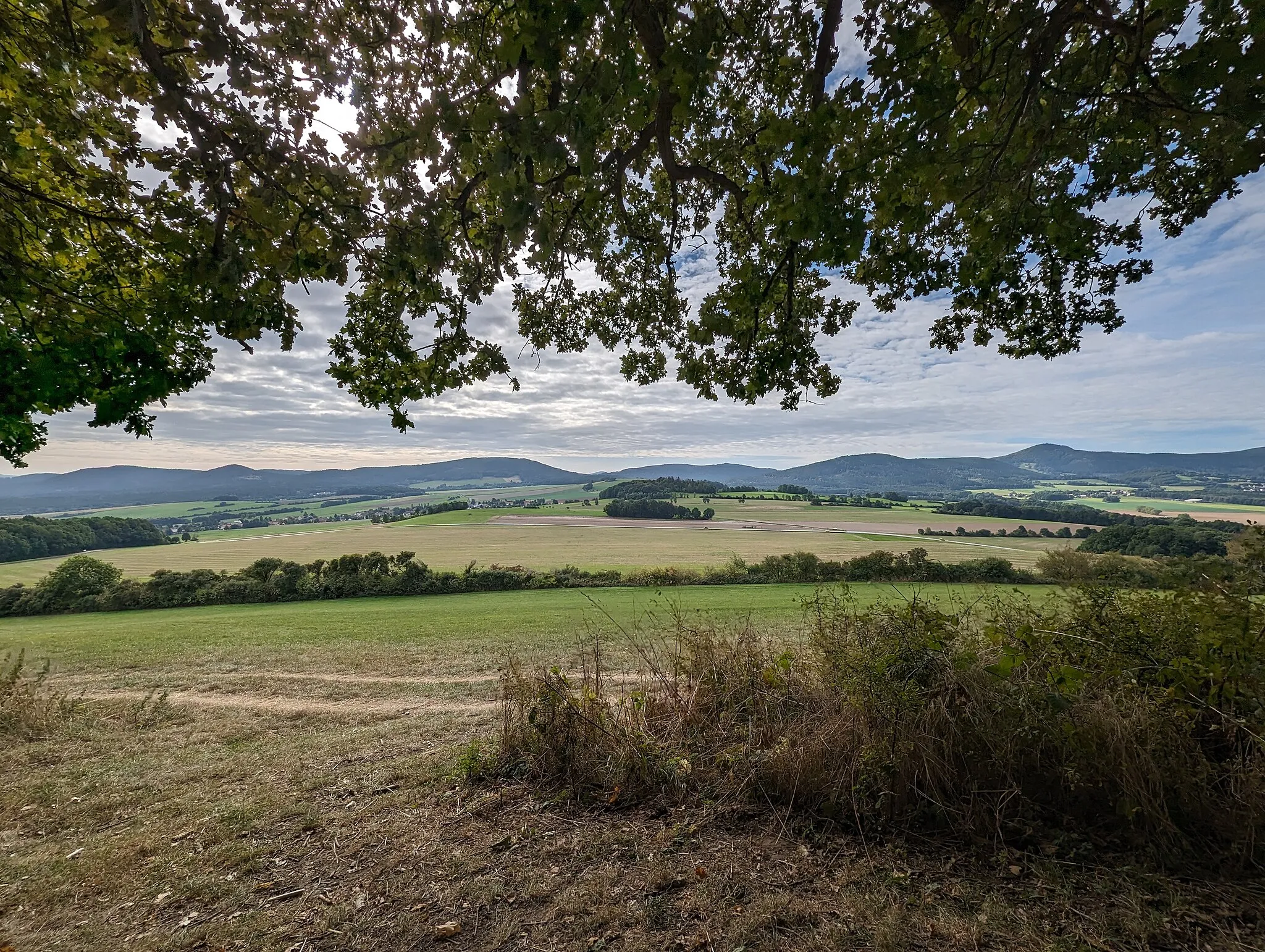 Photo showing: Blick vom Fuße des Breiteberges