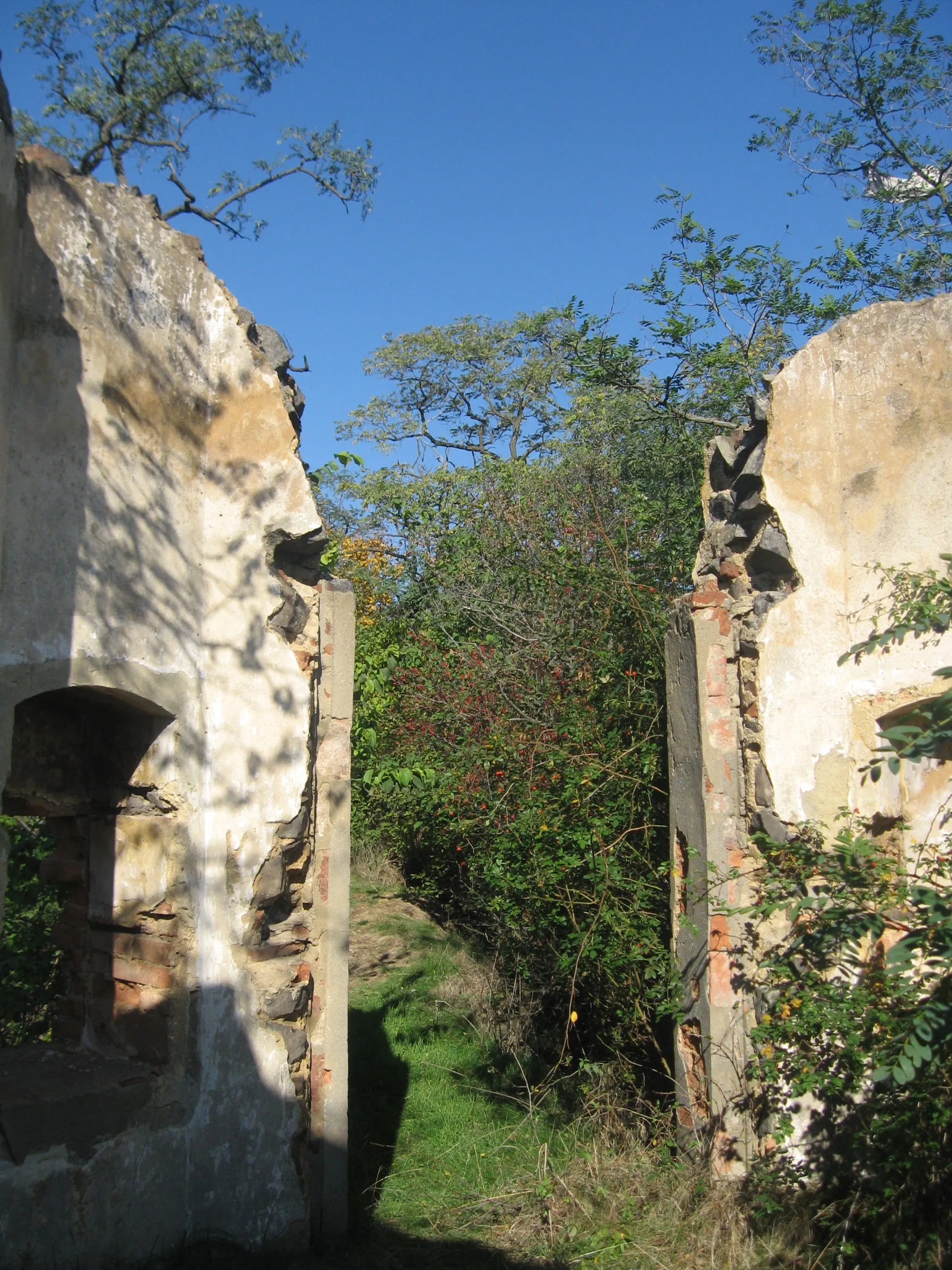 Photo showing: The rest of observation tower Aloisova výšina on Pohradická hora