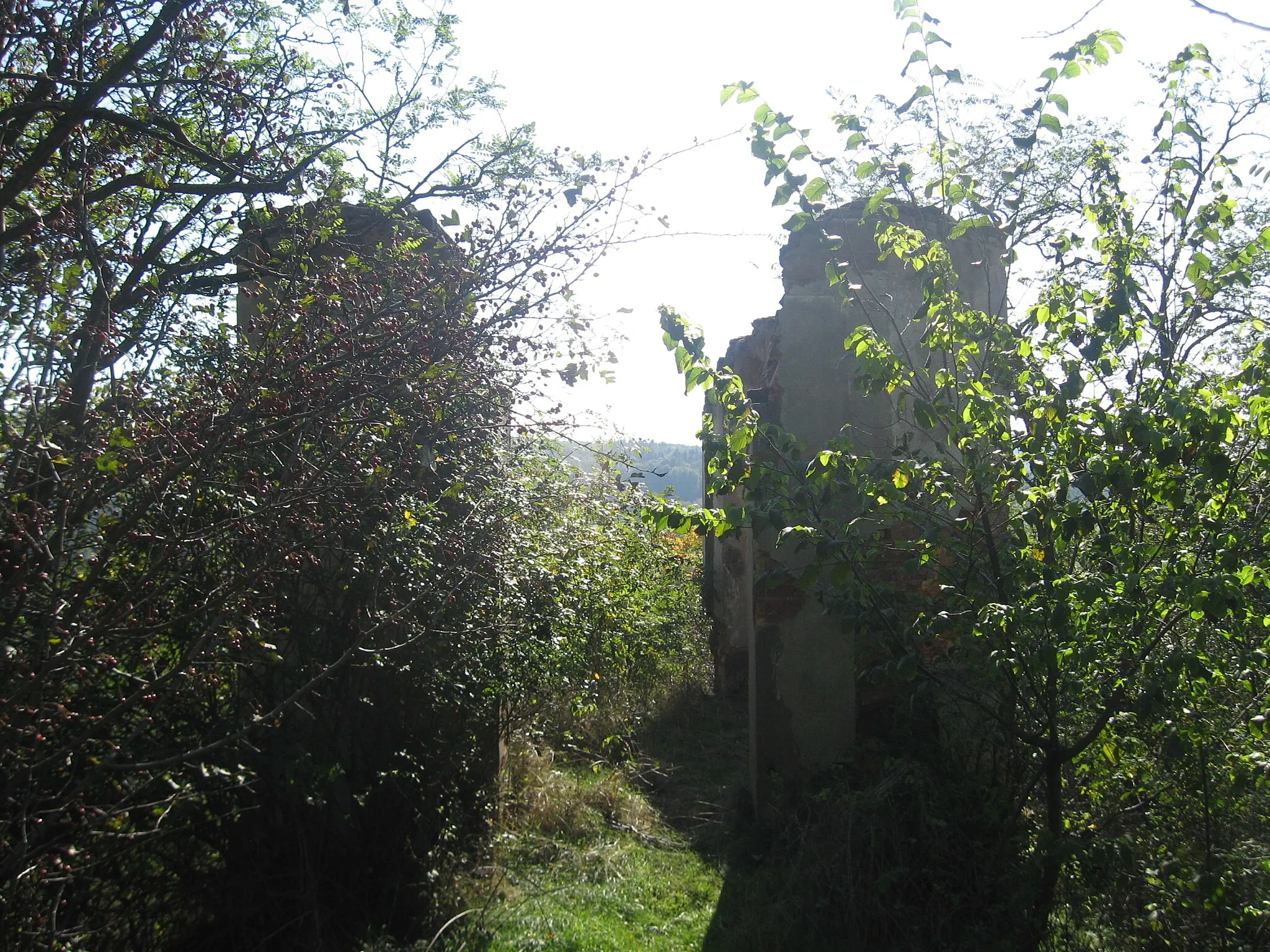 Photo showing: The rest of observation tower Aloisova výšina on Pohradická hora