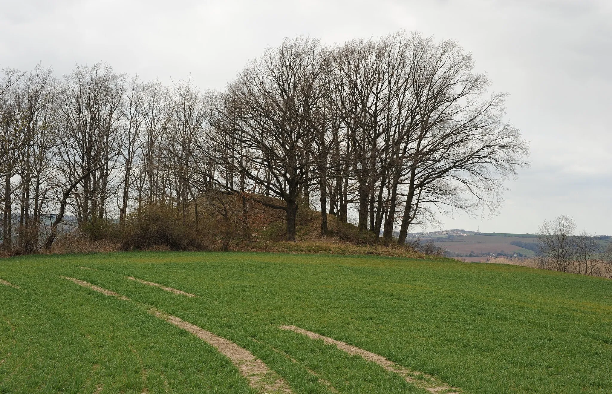 Photo showing: Kreischa OT Wittgensdorf: Die Kuppe des Sandbergs (336,0 m) am Rande von Wittgensdorf. Ein geologischer Aufschluss für Kieselschiefer (durch ehemaligen Steinbruch erschlossen) und diluvialem Geröll (Landkreis Sächsische Schweiz-Osterzgebirge, Freistaat Sachsen, Deutschland)