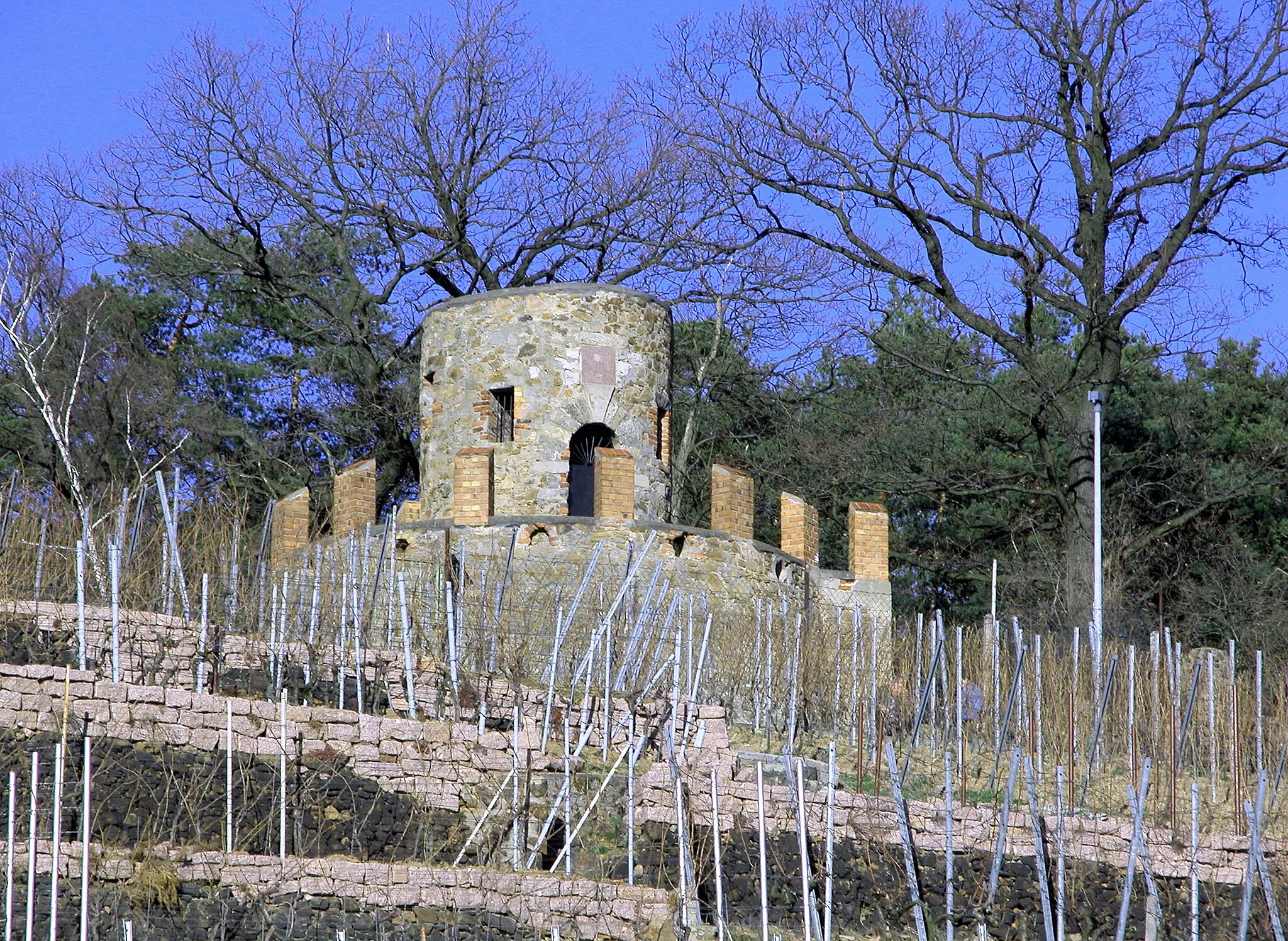 Photo showing: 24.02.2008  01689  Weinböhla, Schreinickenweg: Der Wartturm (GMP: 51.171693,13.582998) oberhalb des Ratsweinberges war von Wilhelm Wießner als Aussichtsturm geplant, stürzte aber während der Bauarbeiten 1900 ein und blieb als Ruine erhalten. Auch so bietet er noch eine schöne Aussicht. Sicht von Süden.      [DSCN31653.TIF]20080224405DR.JPG(c)Blobelt