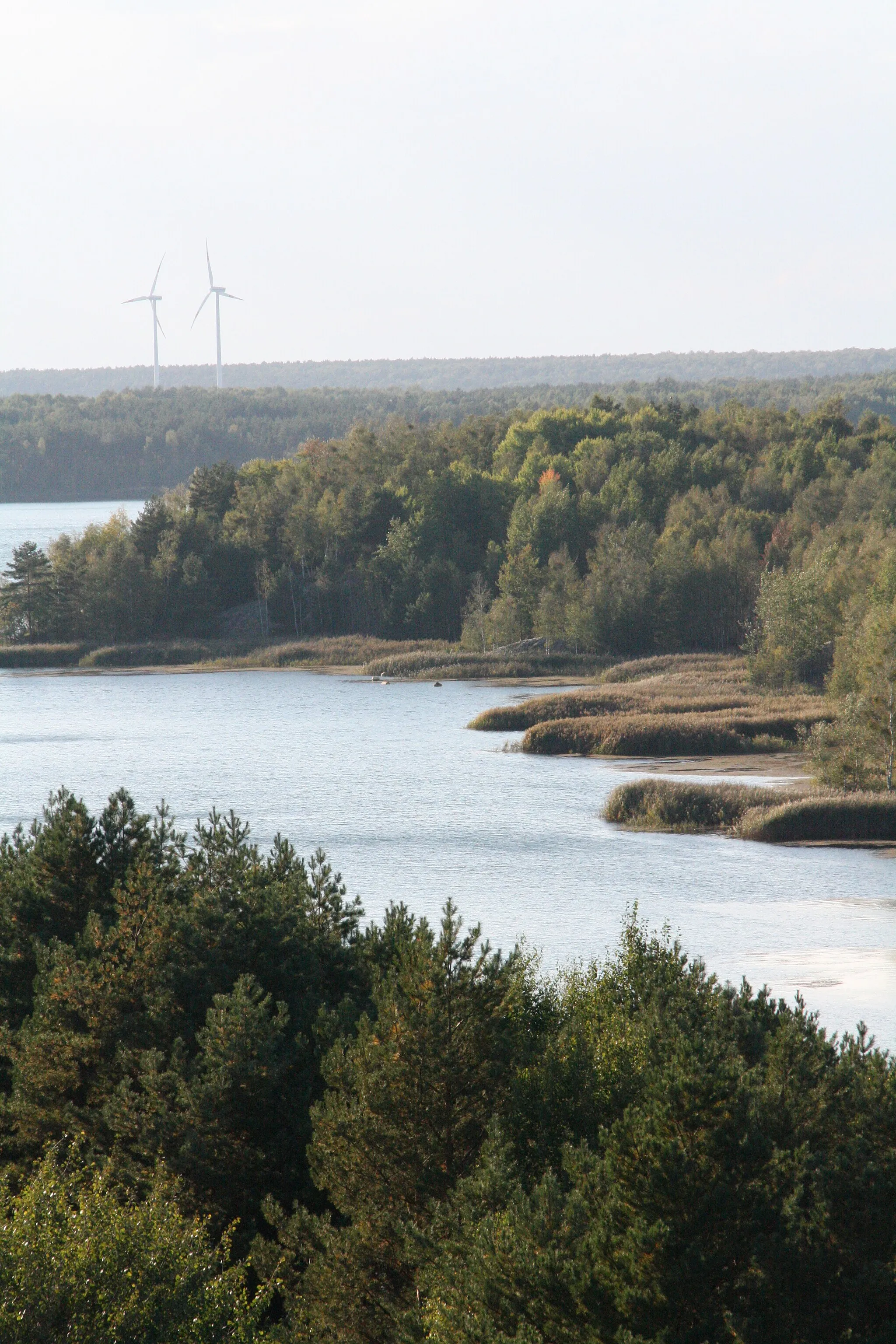 Photo showing: Aussicht vom Aussichtsturm Senftenberger See